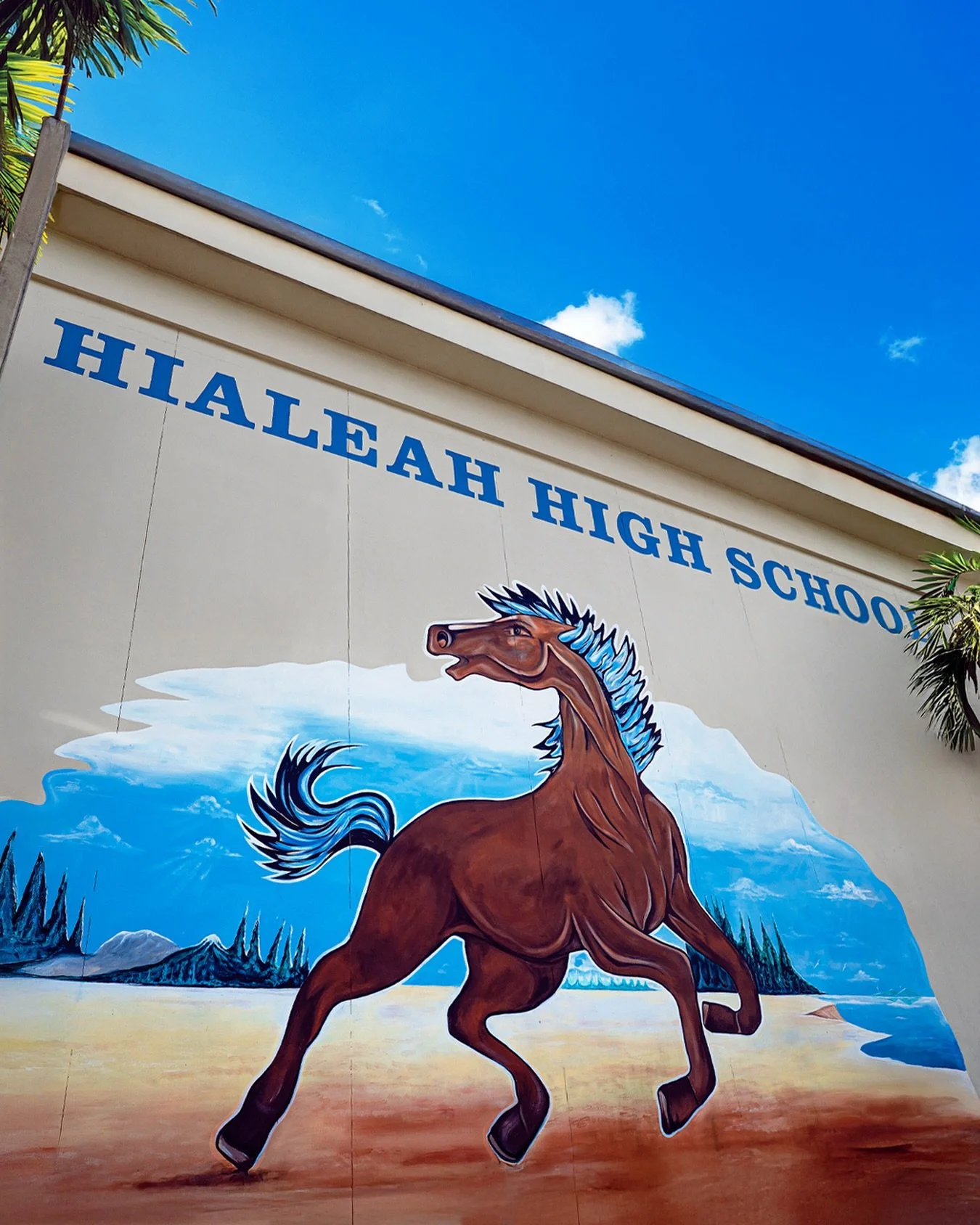 November 15th is almost here! Have you registered for our school tour yet? 👉🏼 hhsalumni2005.com/tour 
11/15 at 9AM - Meet at the annex steps.
Registration is required. 

#hialeahhigh2005