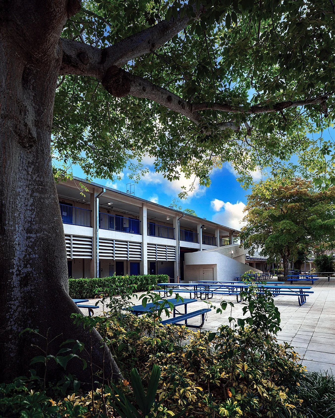 Get your registration in for this Saturday&rsquo;s School Tour! Some changes may be coming to Hialeah High soon and it might be one of your last chances to see the school in it&rsquo;s original form! It&rsquo;s going to be a nostalgic morning! See yo