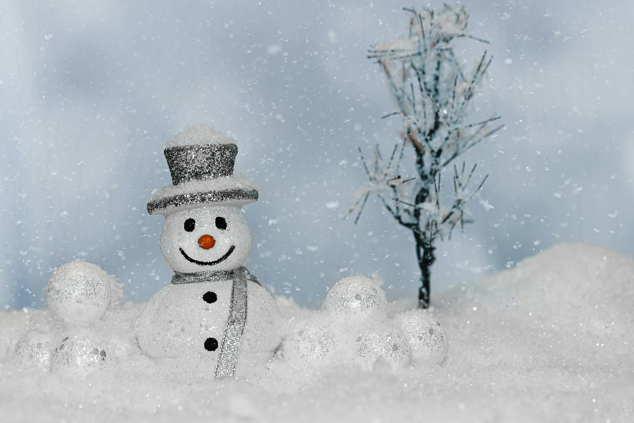 No School: Winter Break
