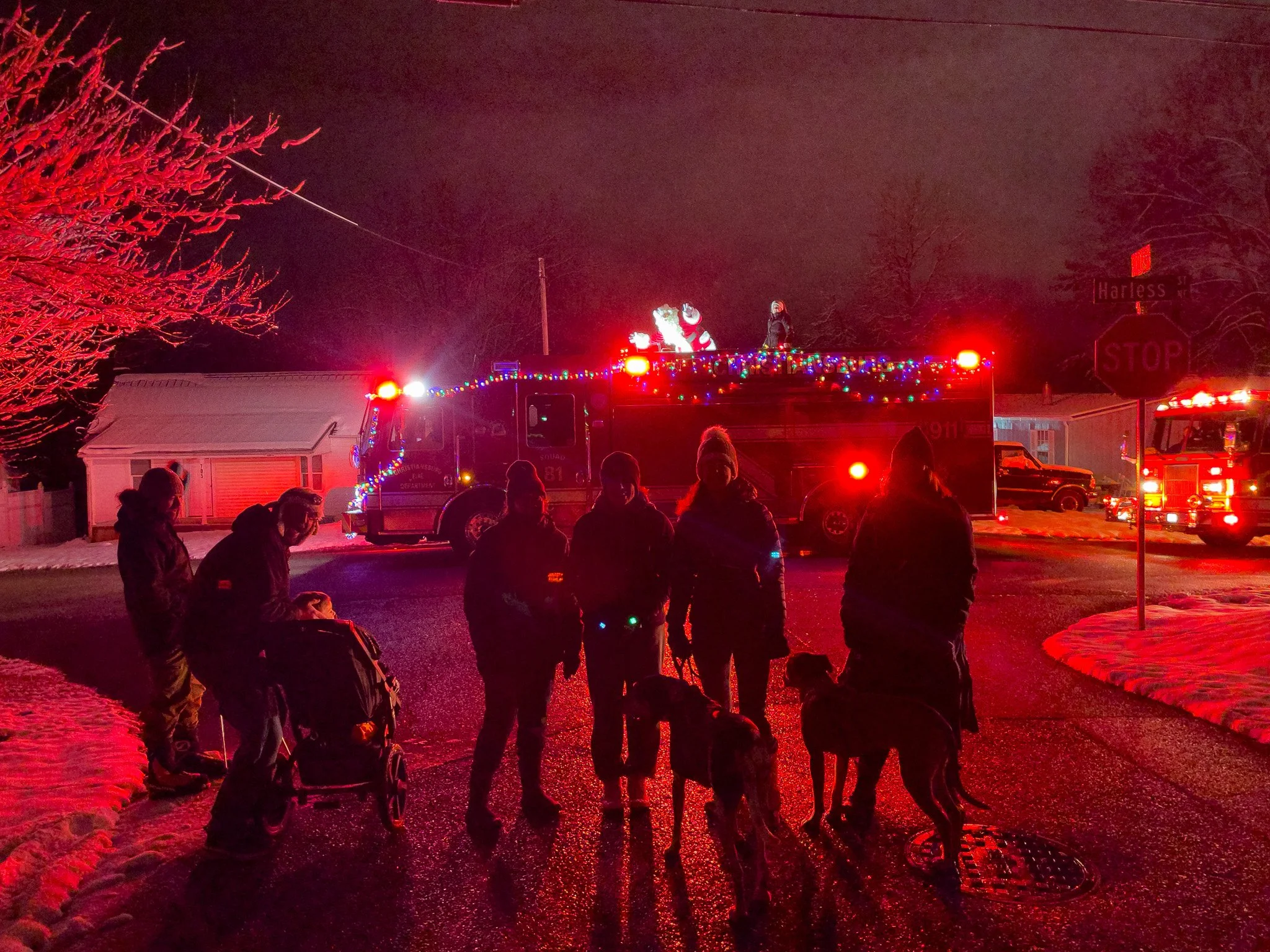 A group of people with dogs gather on a wet street at night, illuminated by the flashing red lights of fire trucks with Christmas lights decorations, near a stop sign and a street sign that reads 'Harlass St'.