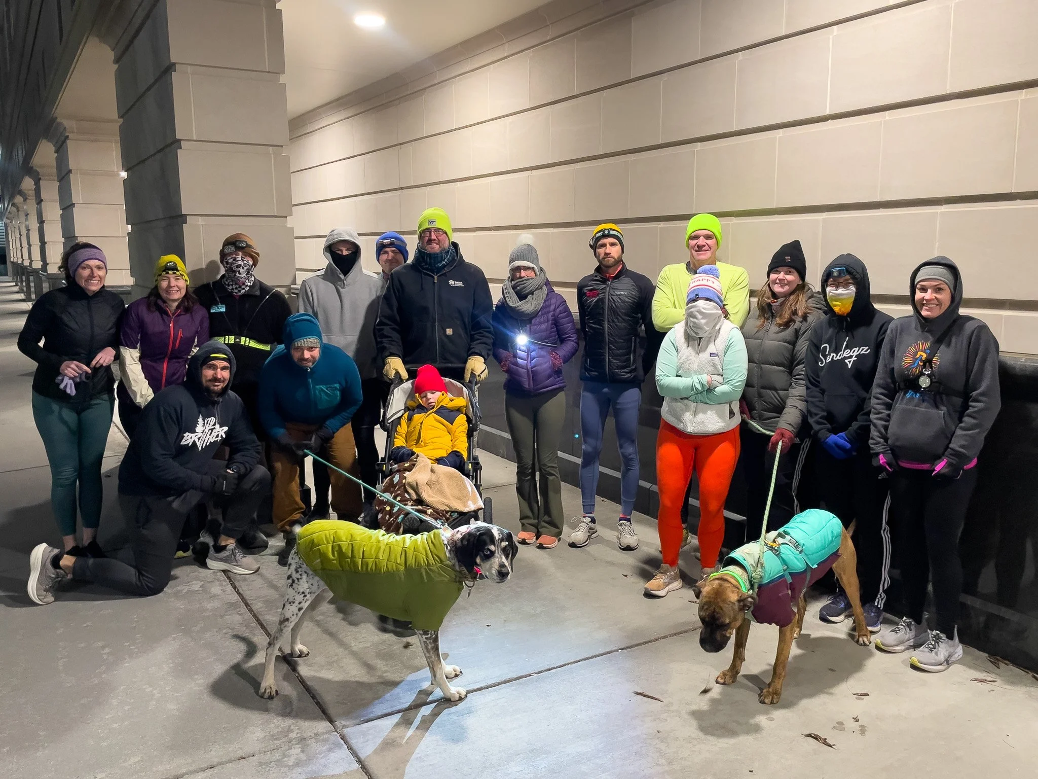 Group of people in outdoor winter clothing and two dogs standing on a city sidewalk at night.