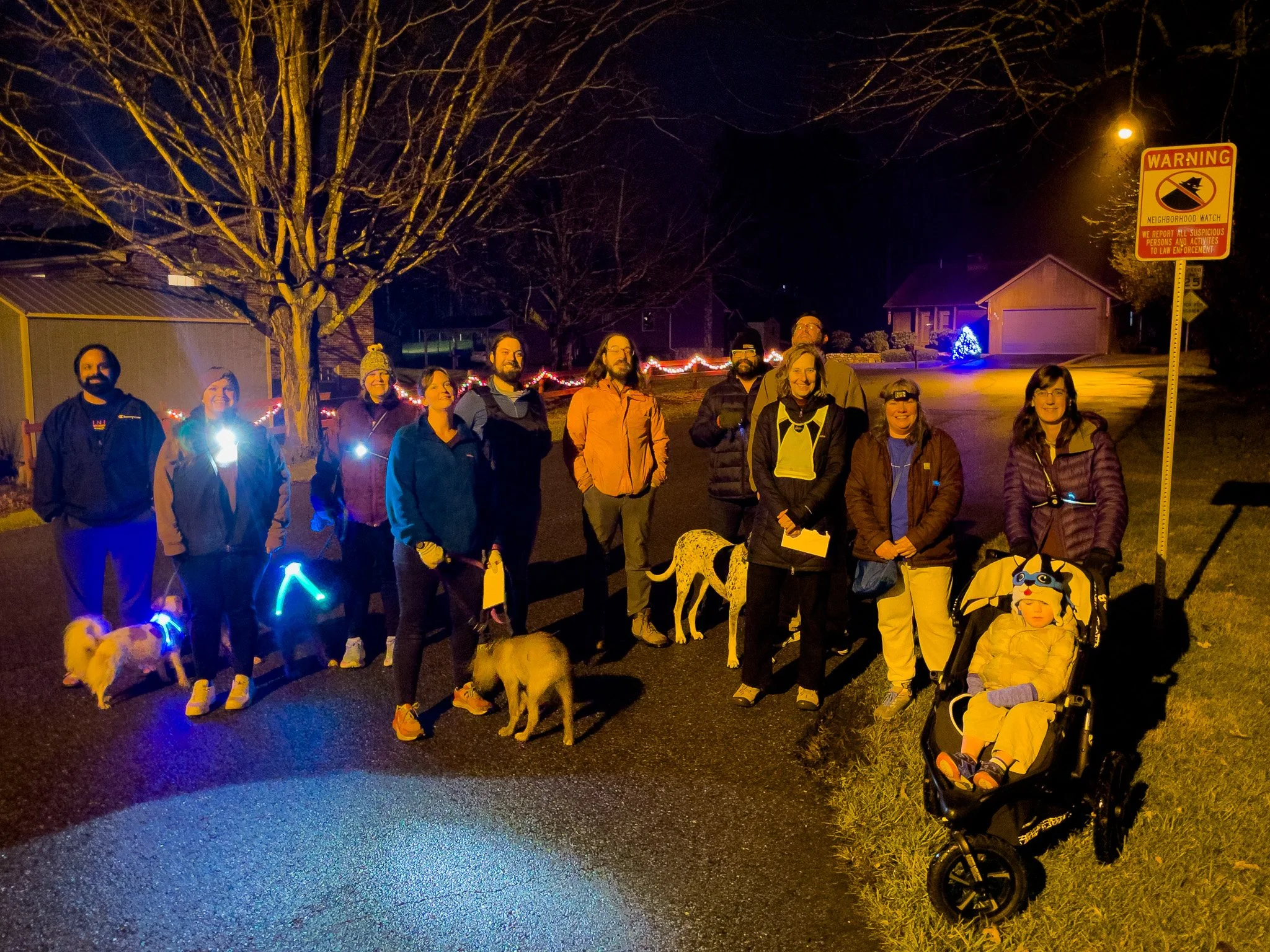 Group of people and dogs on a neighborhood street at night, holiday lights and Christmas decorations in the background.