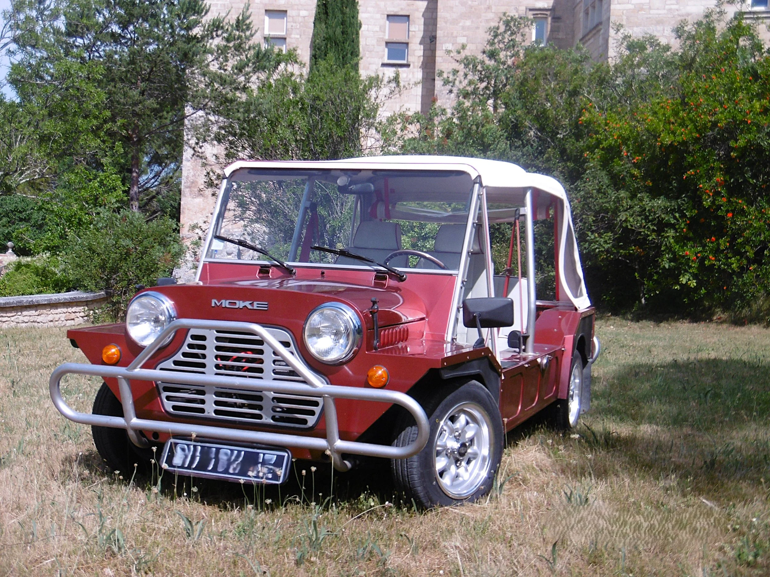 P1050796.JPG