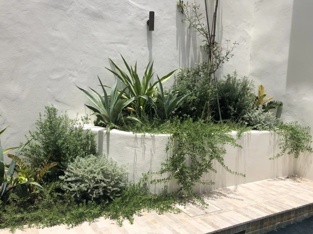 F6A2FA78-1030-44C7-AE32-378ECC7C49B9_1_105_c (1).jpeg