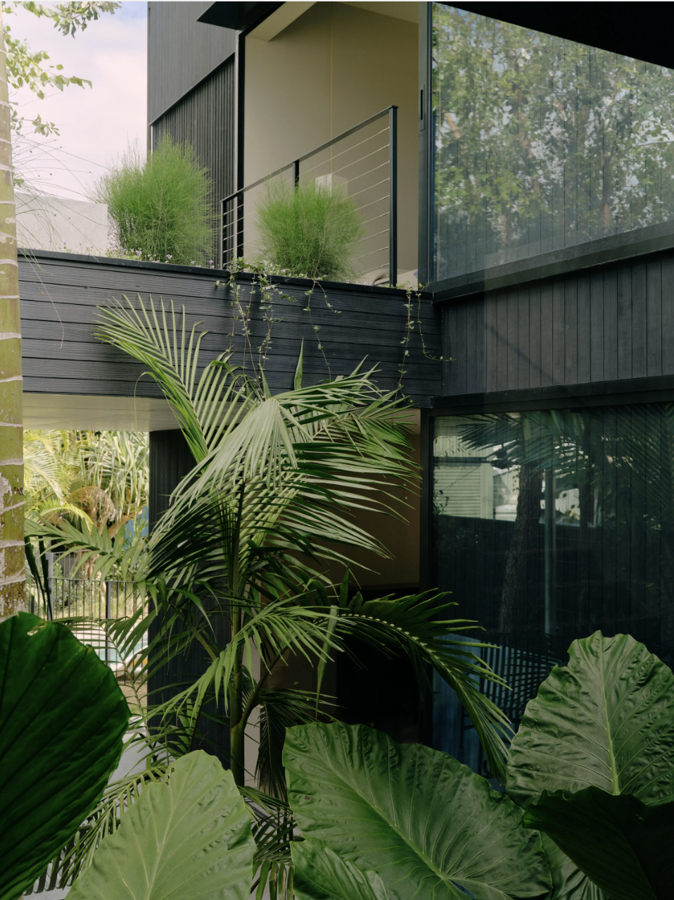 Screenshot 2025-02-05 at 8.10.22 pm.png