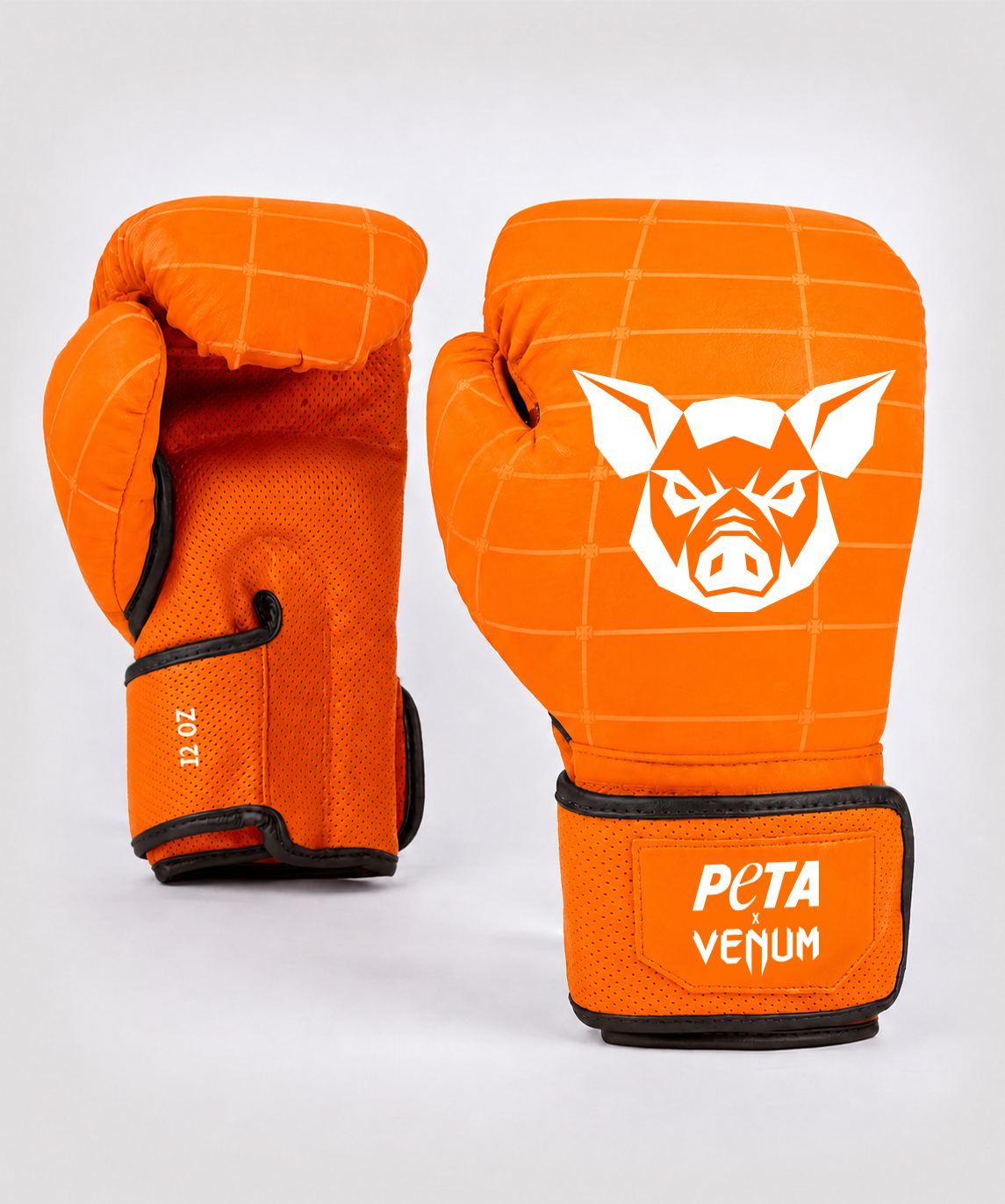 GANT-COCHON.png