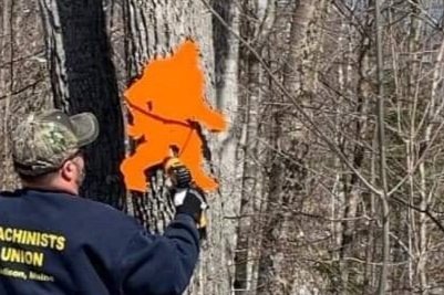 sasquatch+in+tree.jpg