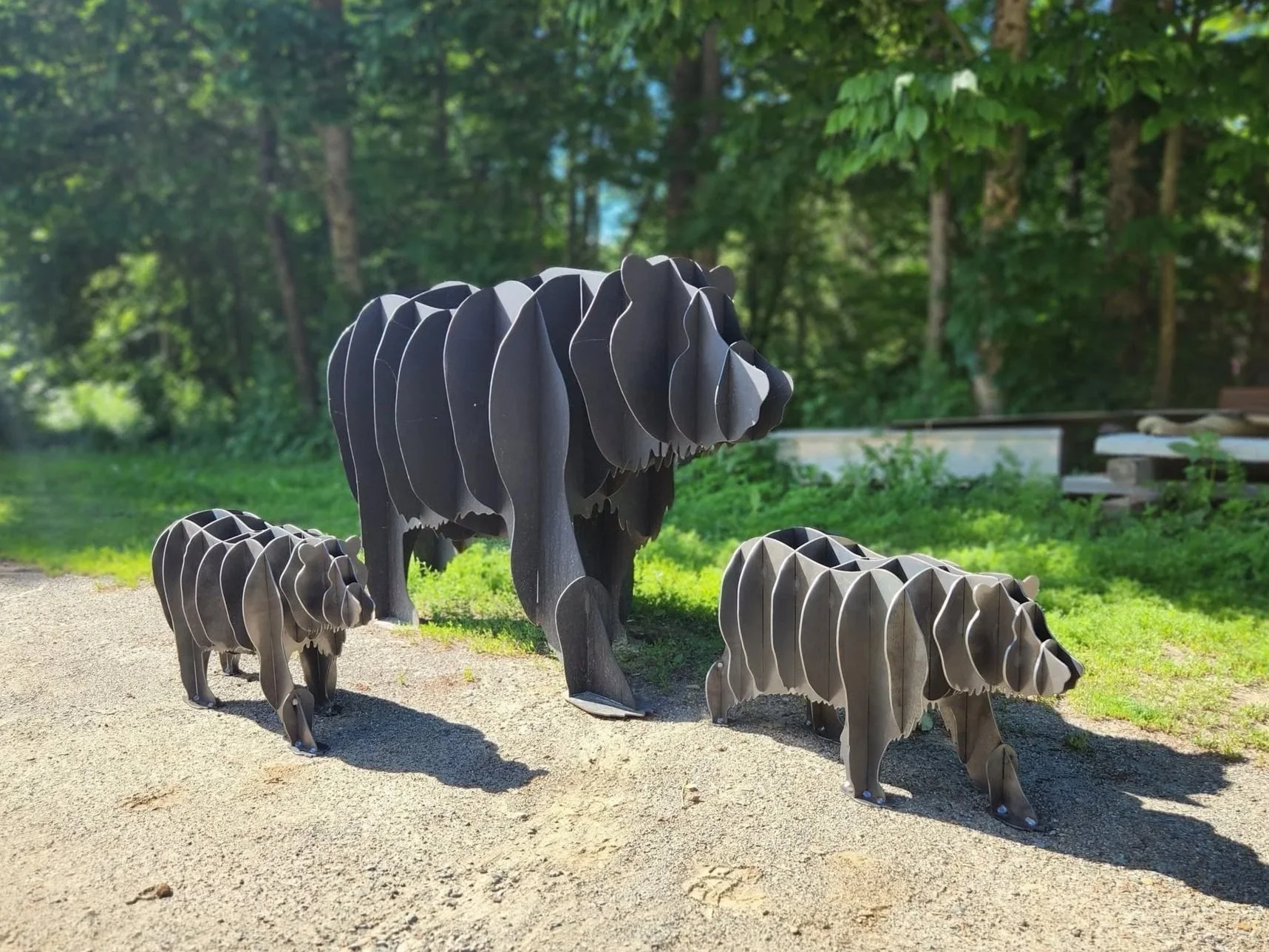 bear.jpg