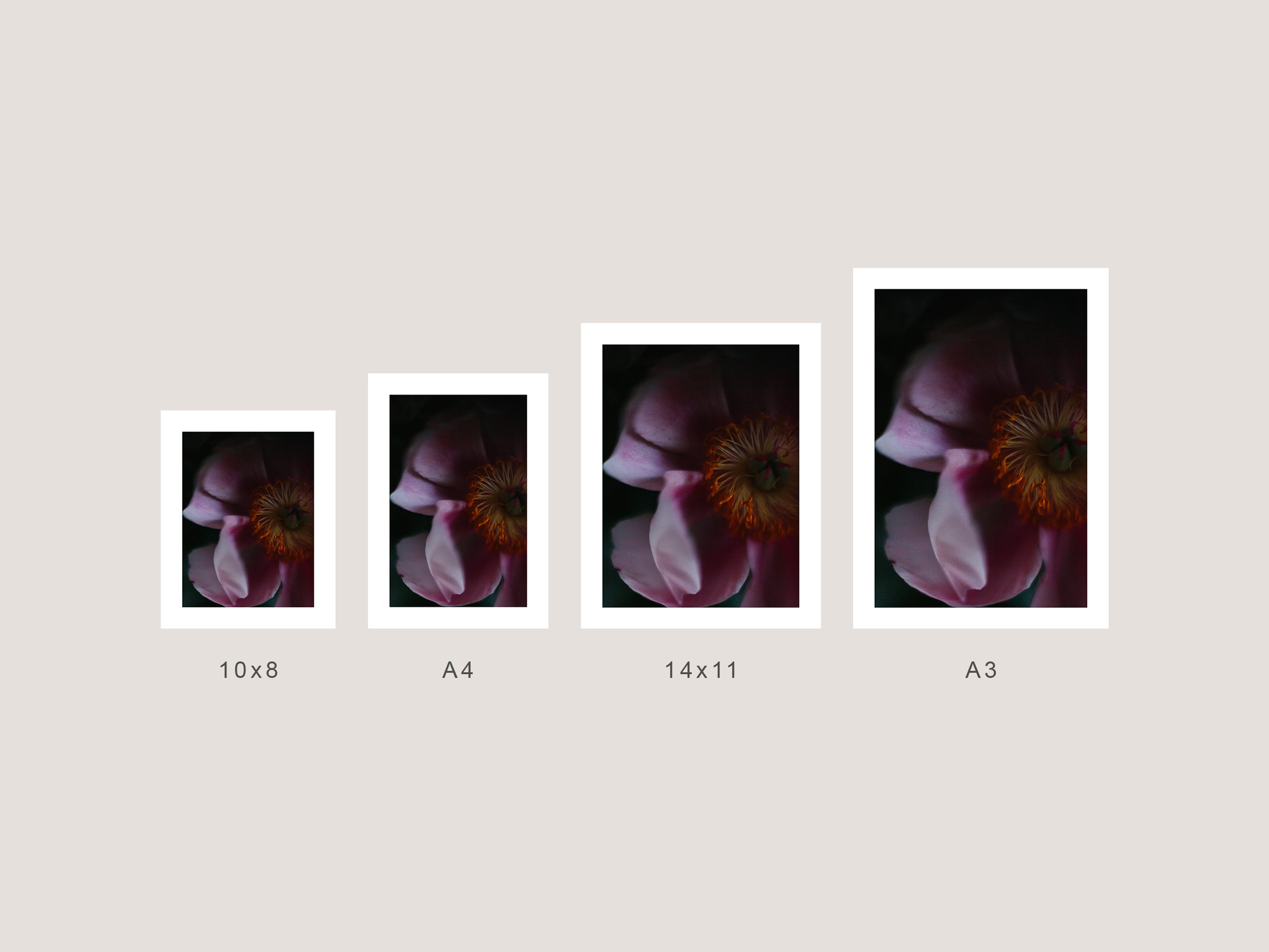 MaryHalfComparison.jpg