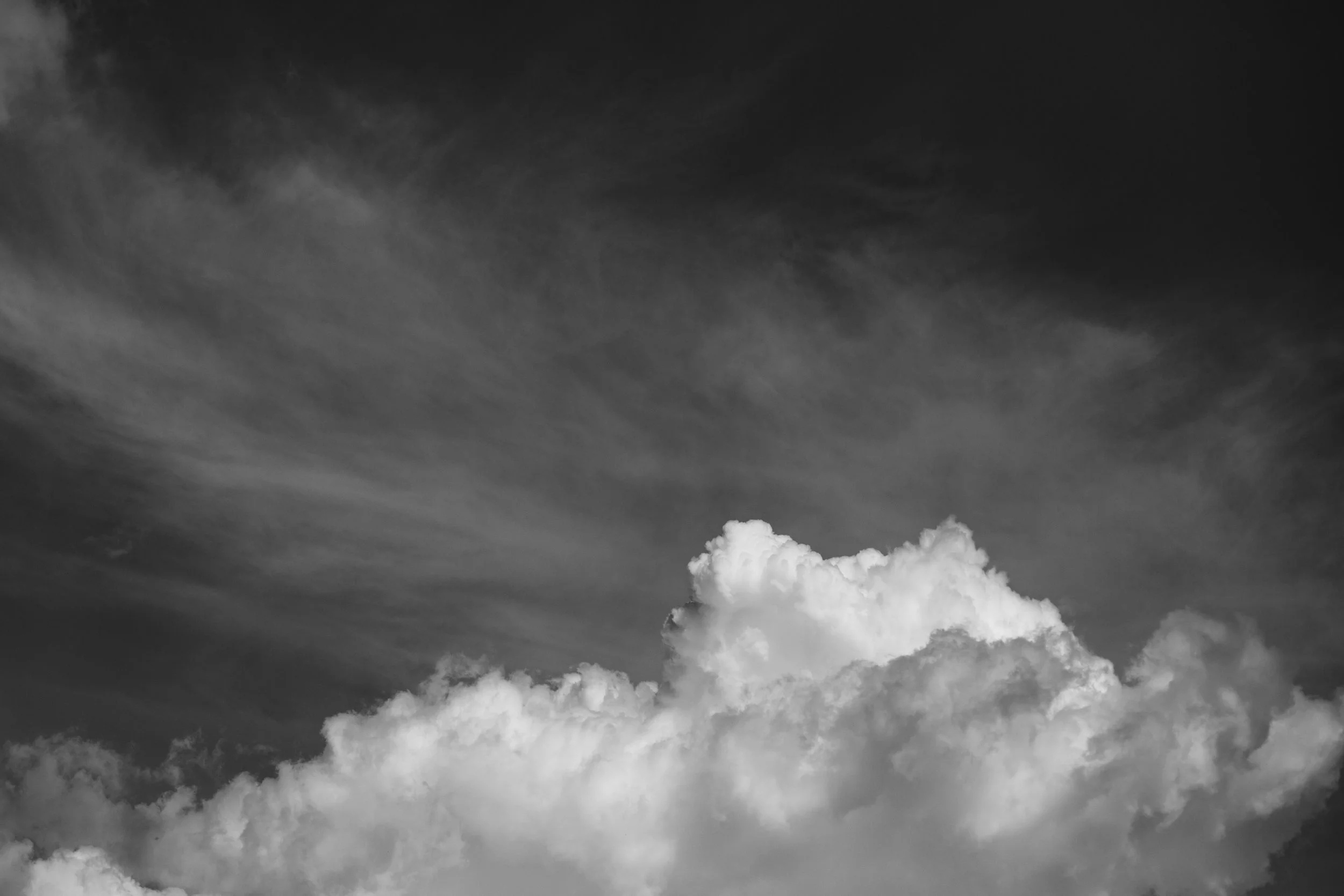 2F0A0784.jpg