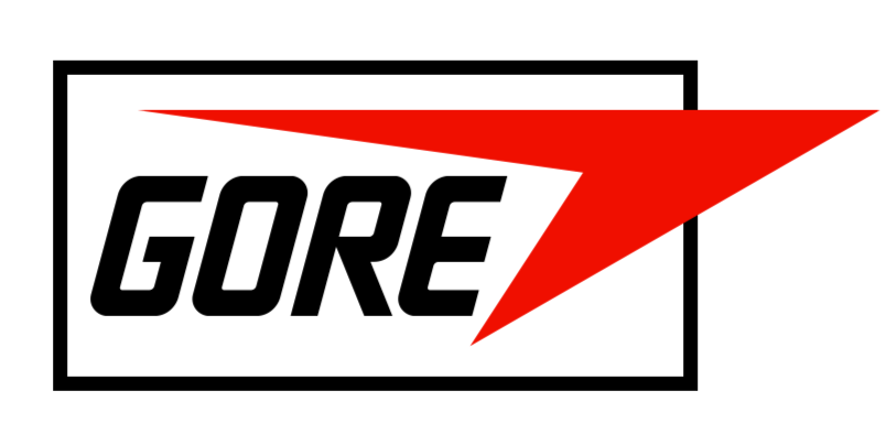 Edinburgh aortic summit sponsor Gore