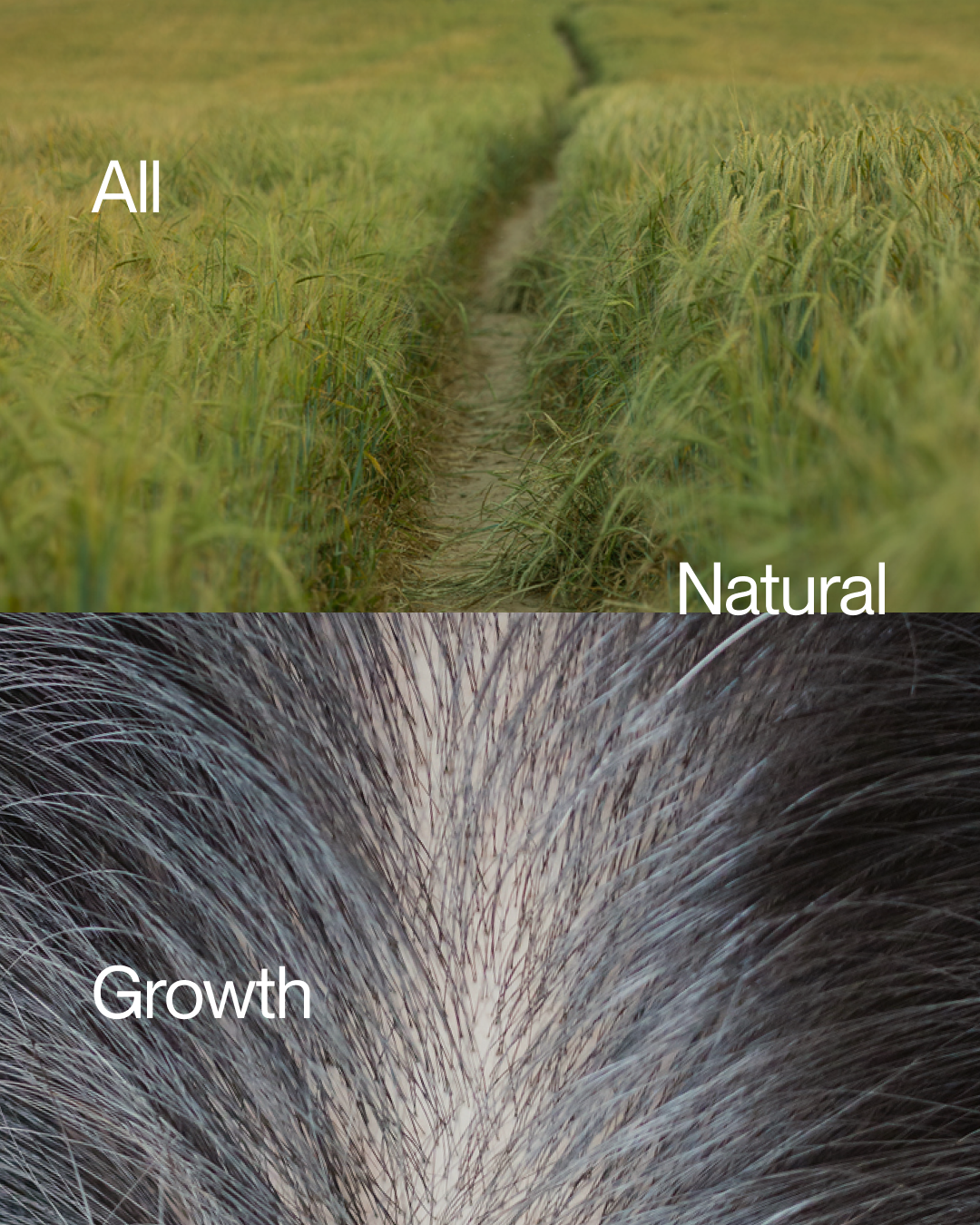 Natural growth-2.png