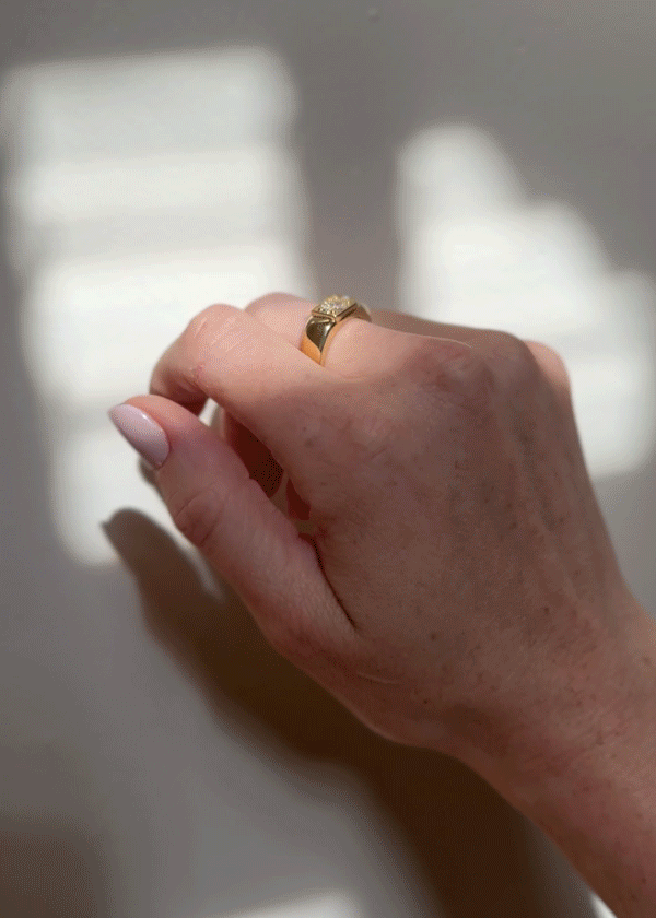 Orlo-2.gif
