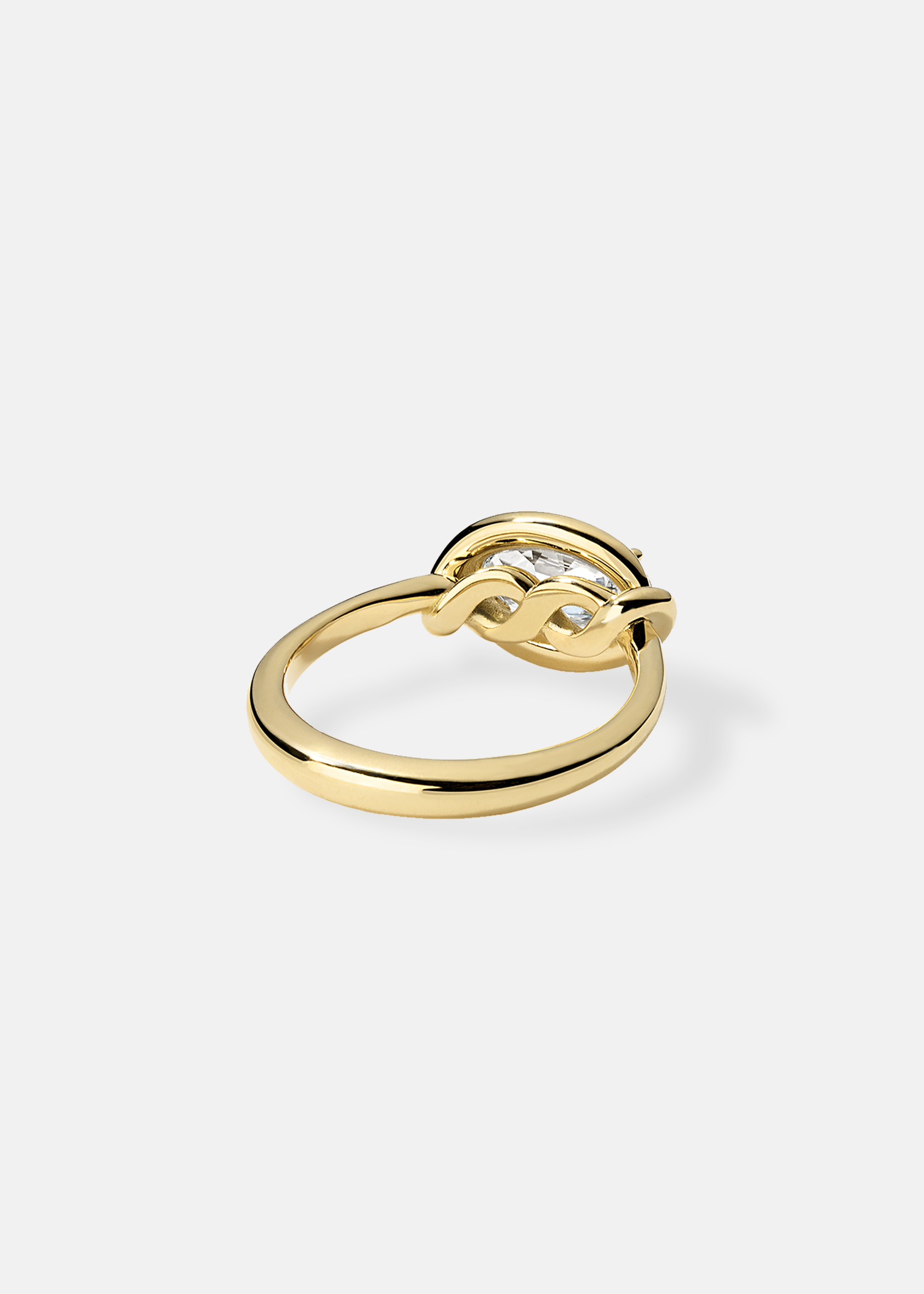 AnRing2_WhiteBG.png