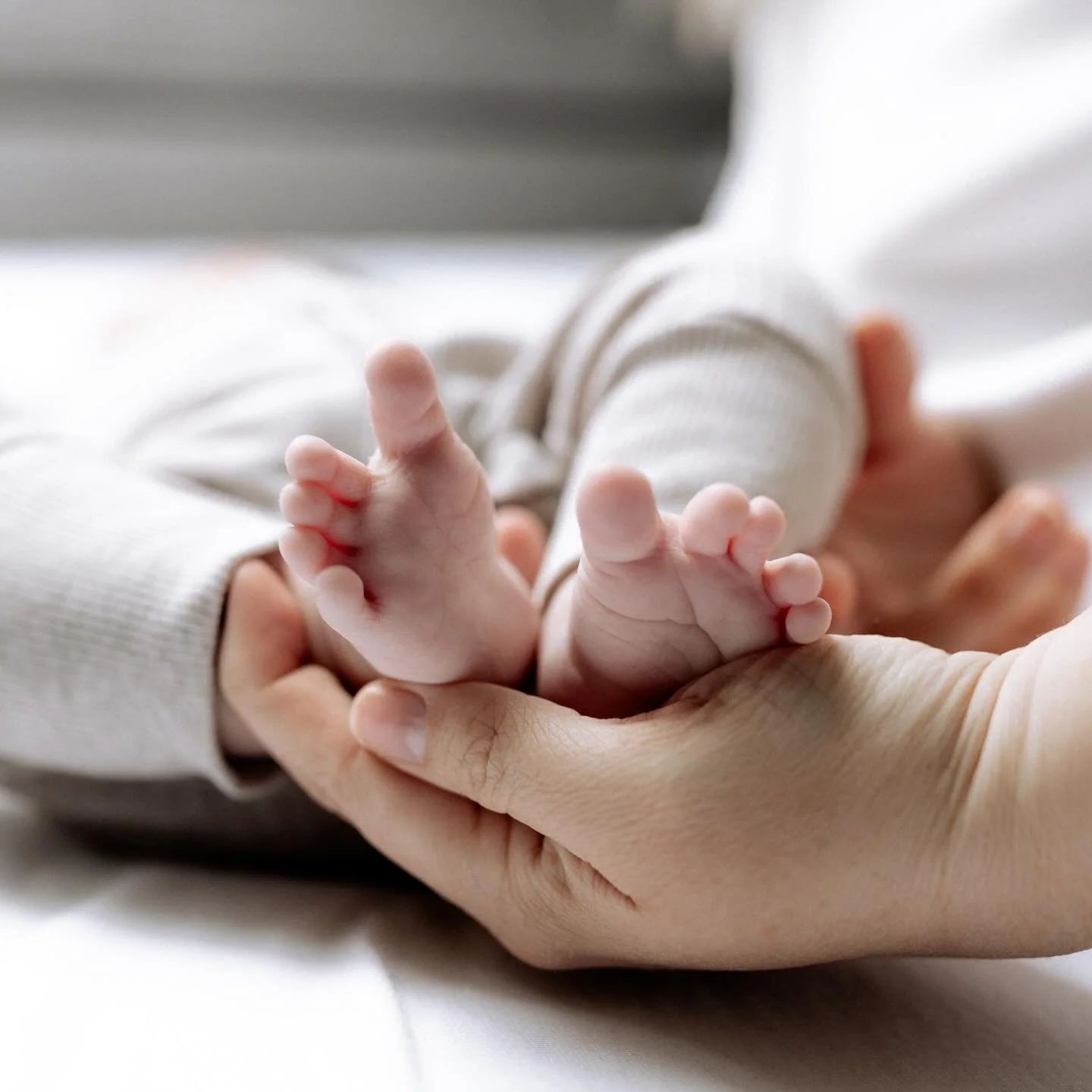 ✨ Warum Newborn-Shootings etwas Besonderes sind ✨

In den ersten Tagen nach der Geburt sind es die winzigen Details, die eine ganze Welt bedeuten &ndash; die zarten Fingerchen, die kleinen F&uuml;&szlig;chen, der Hauch von einem L&auml;cheln.
Diese M