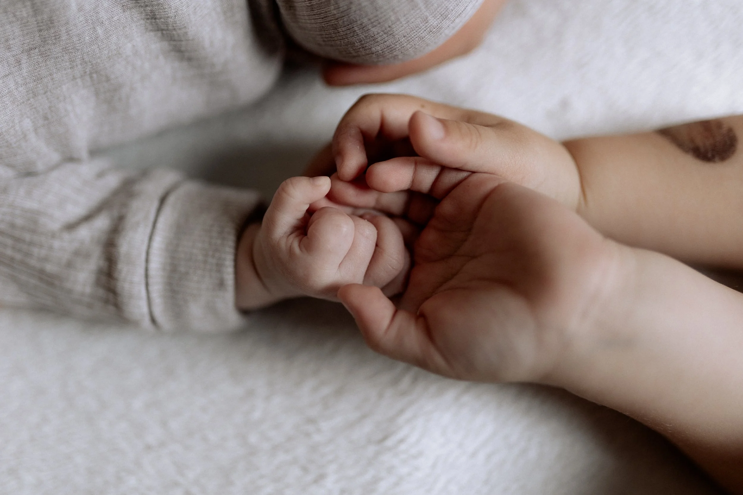 Ein Erwachsener hält die kleine Hand eines Babys. Das Baby trägt einen hellgrauen, gestreiften Pullover und ist auf einer weichen weißen Oberfläche. Szenenbild, Fokus auf den Händen.