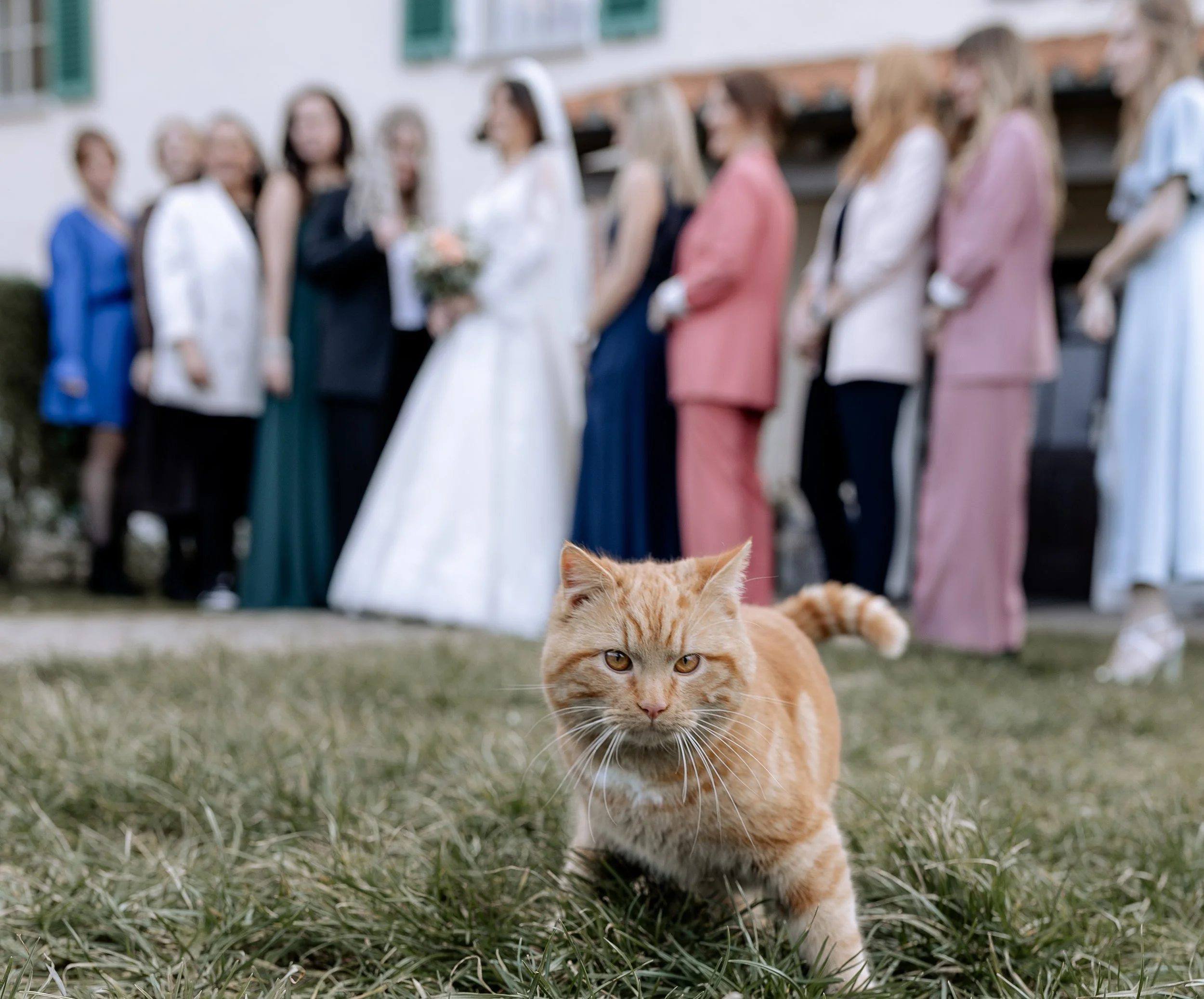 Eure schönsten Momente-24.jpg