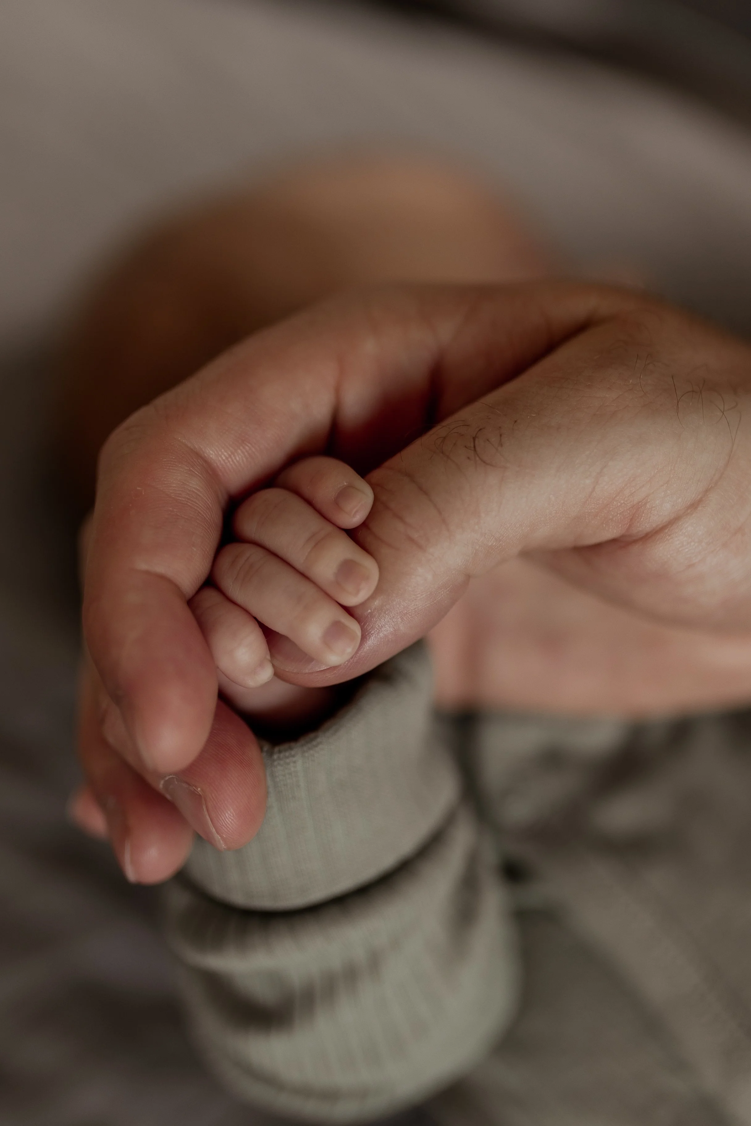 Ein Erwachsener hält die kleine Hand eines Babys.