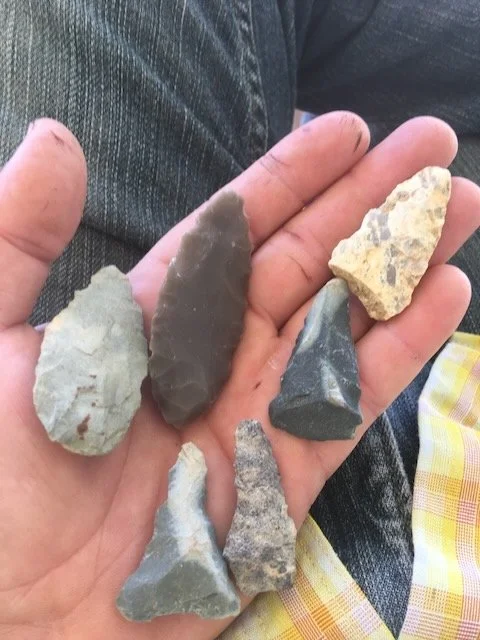 A person holding a hand with seven different types of rocks or stones.