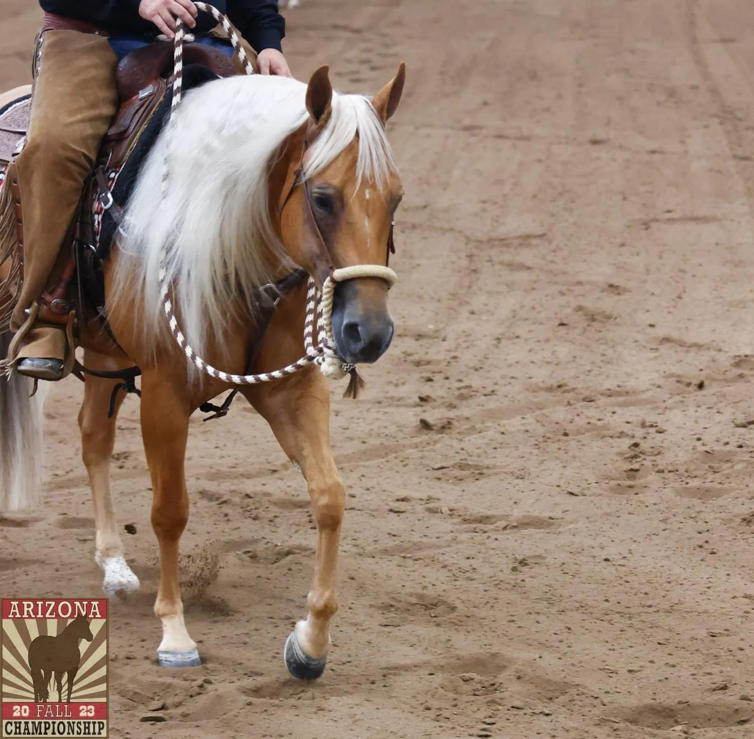 Despite a Day of Rain, Sun Circuit Shined