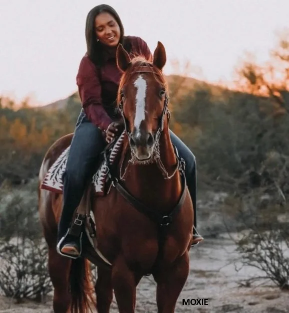MOXIE.jpg