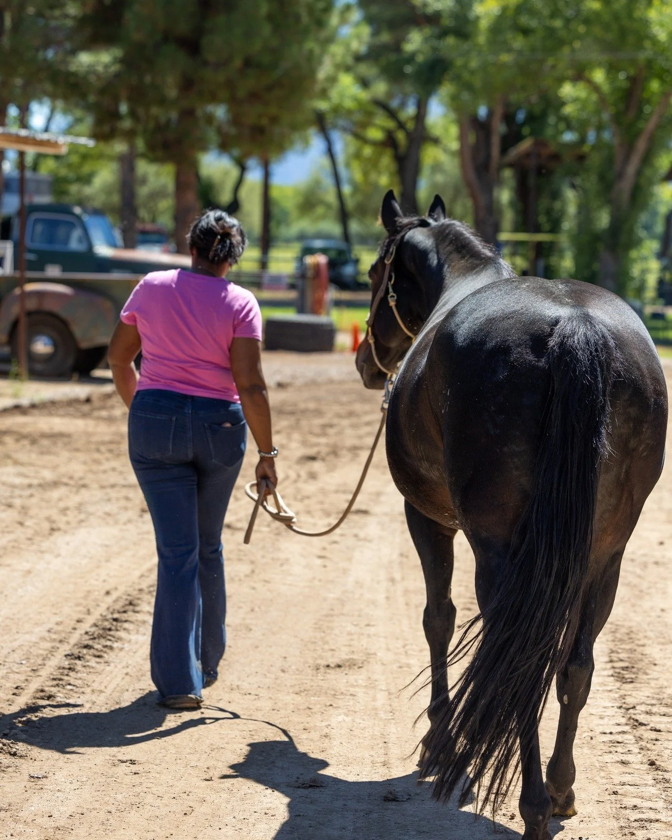 We could write a thousand words about the bond between a girl and her horse, but how Sonic looks at Whitney says more than enough 💕 The bond these two share is like no other, and capturing it on camera is another reminder of how special these horses