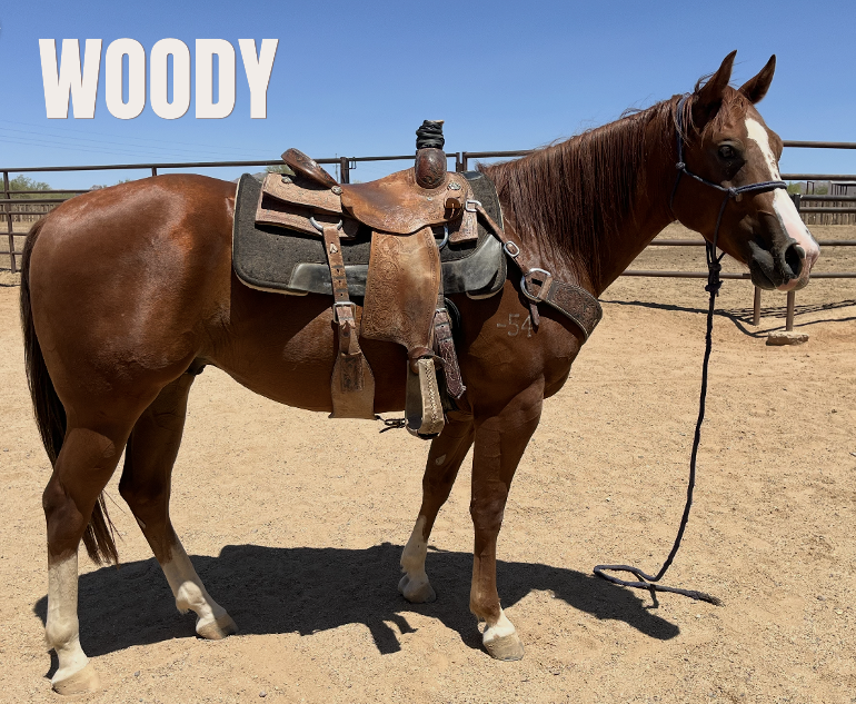 woody saddle.png