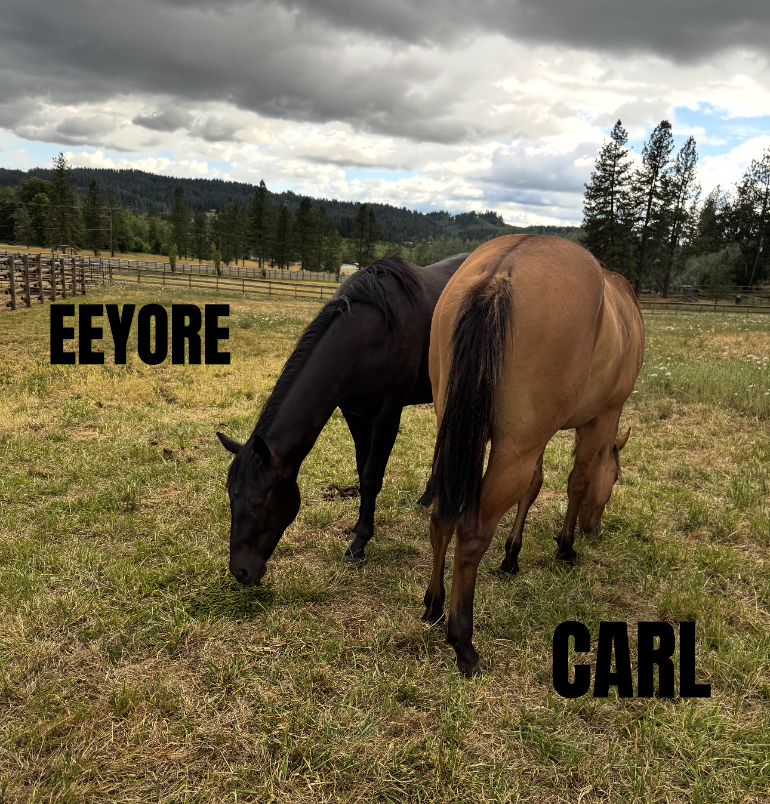 CARL AND EEYORE.png