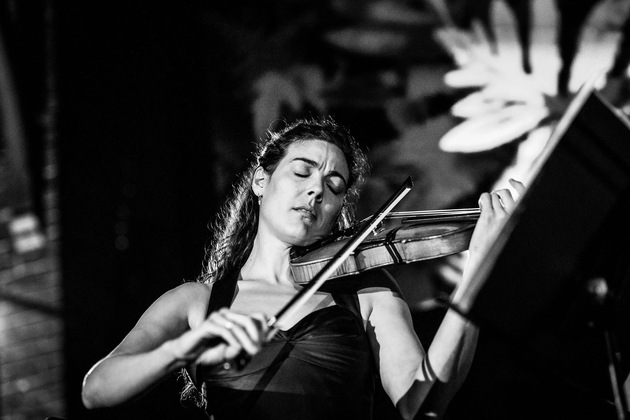 Copie de Sylva_Camerata-2025_09_20-7815.jpg