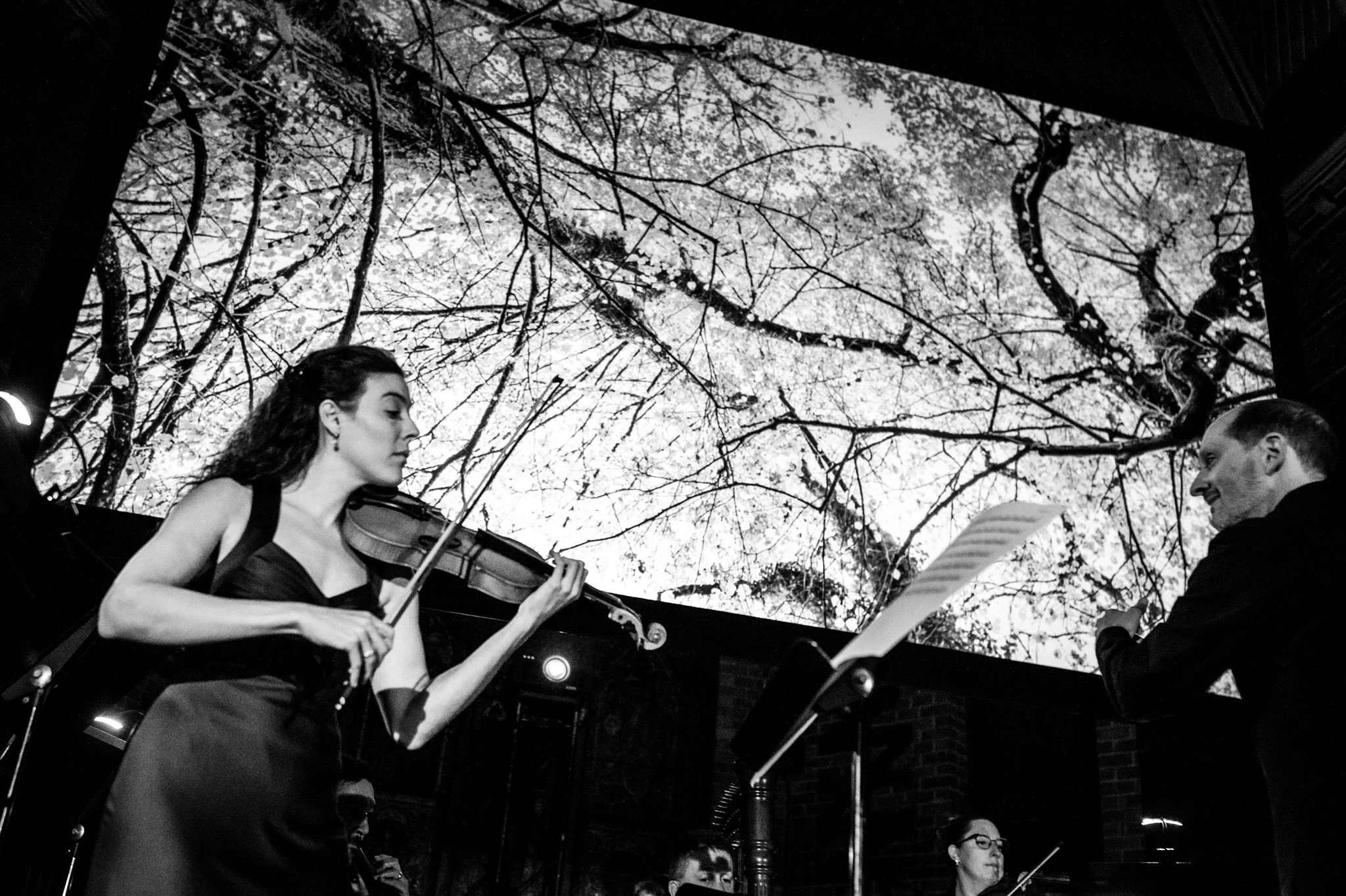Copie de Sylva_Camerata-2025_09_20-7788.jpg