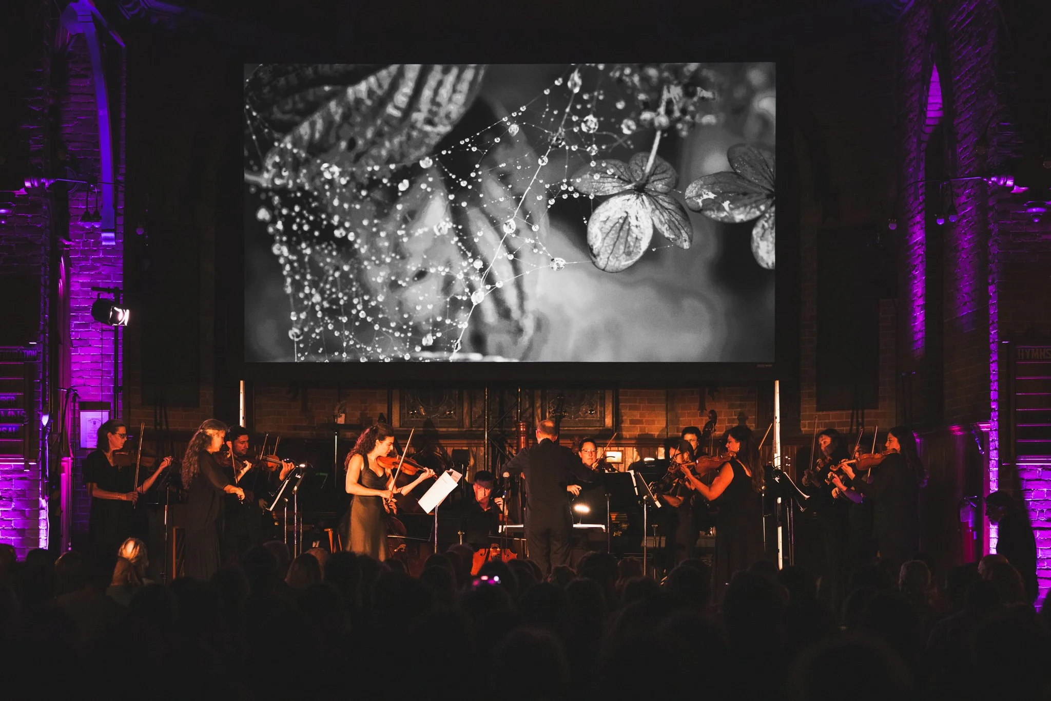 Copie de Sylva_Camerata-2025_09_20-7831.jpg