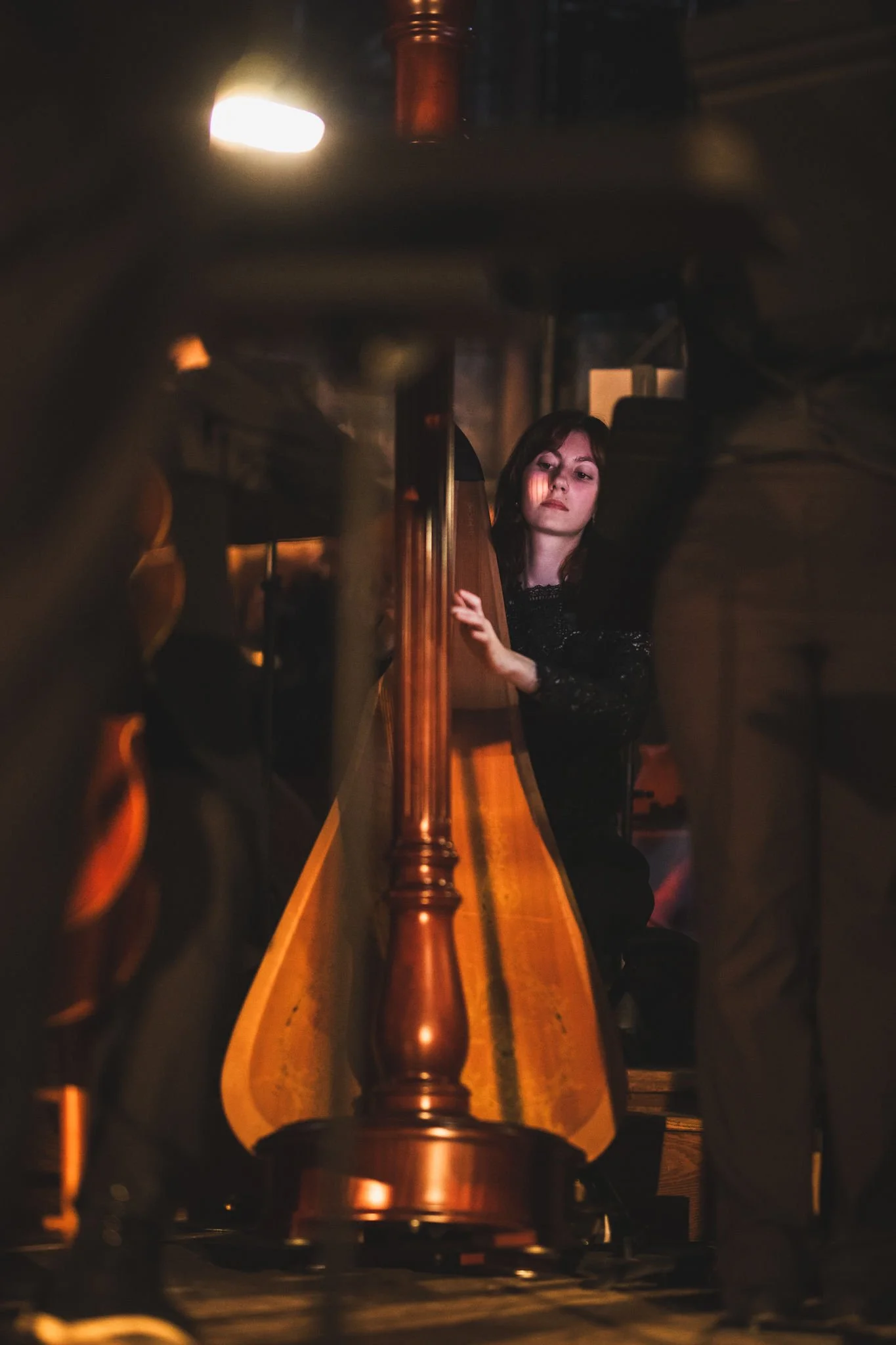 Copie de Sylva_Camerata-2025_09_20-7892.jpg