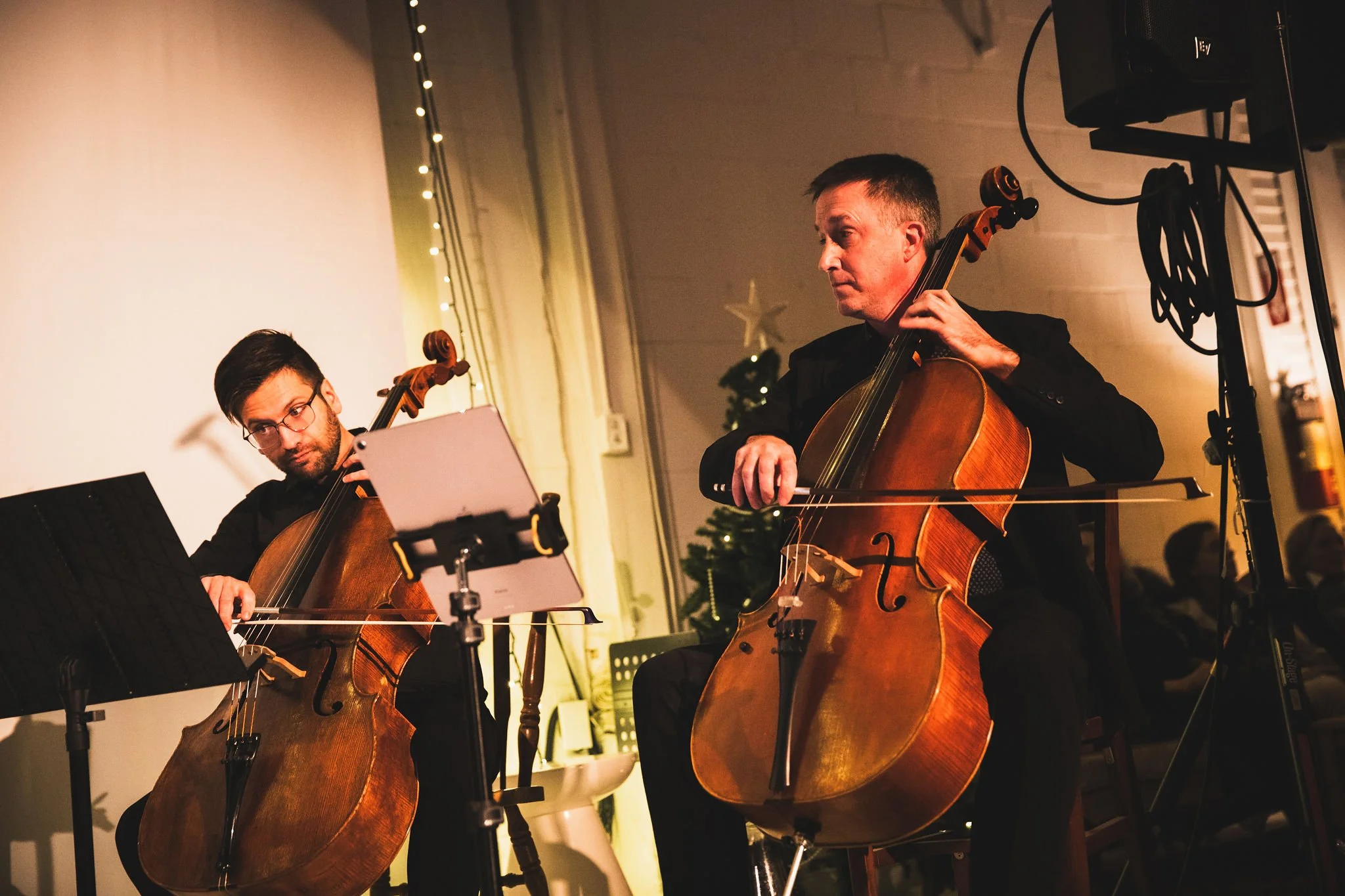 Yule © Mikaël Theimer