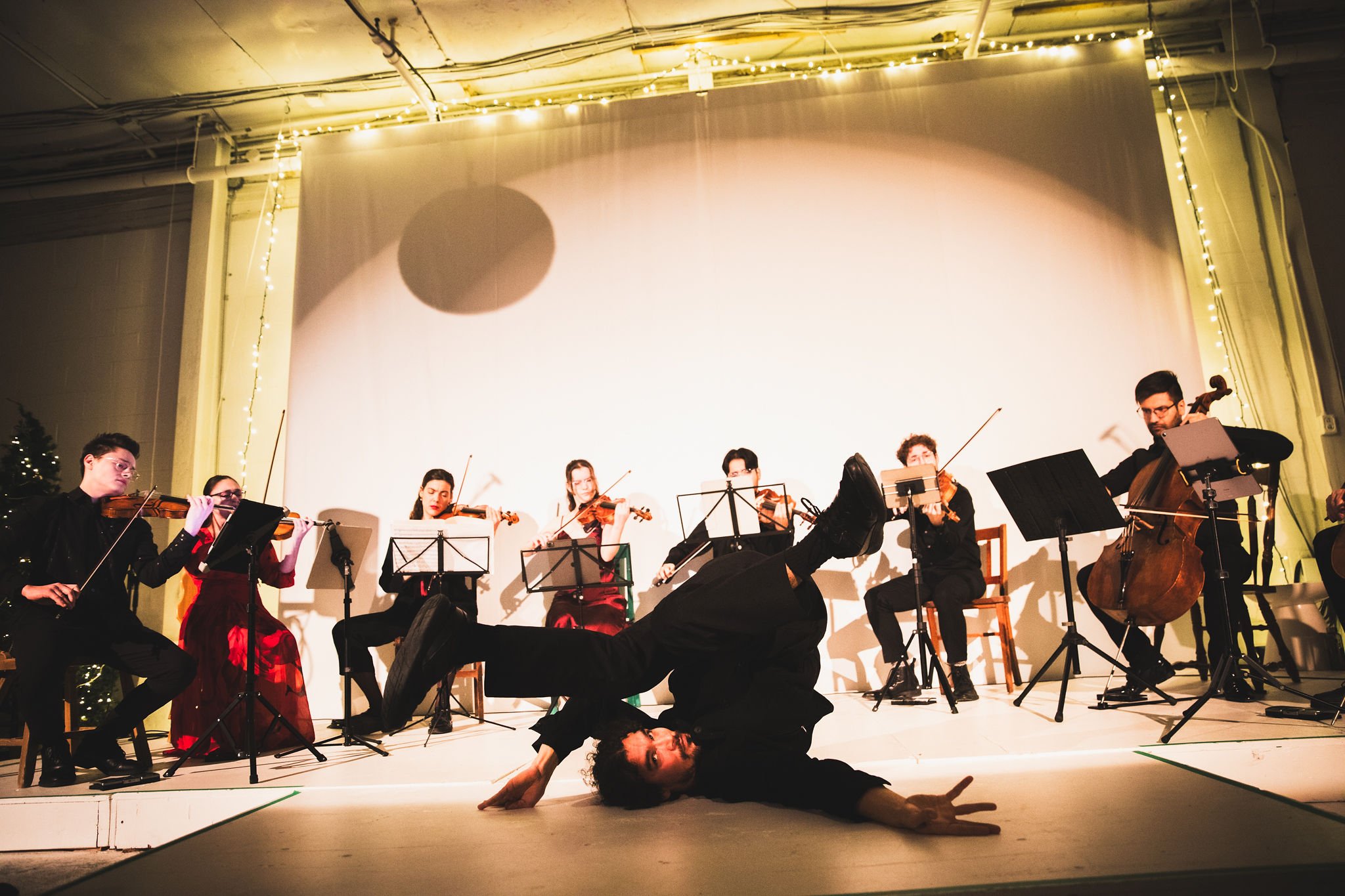 Yule © Mikaël Theimer