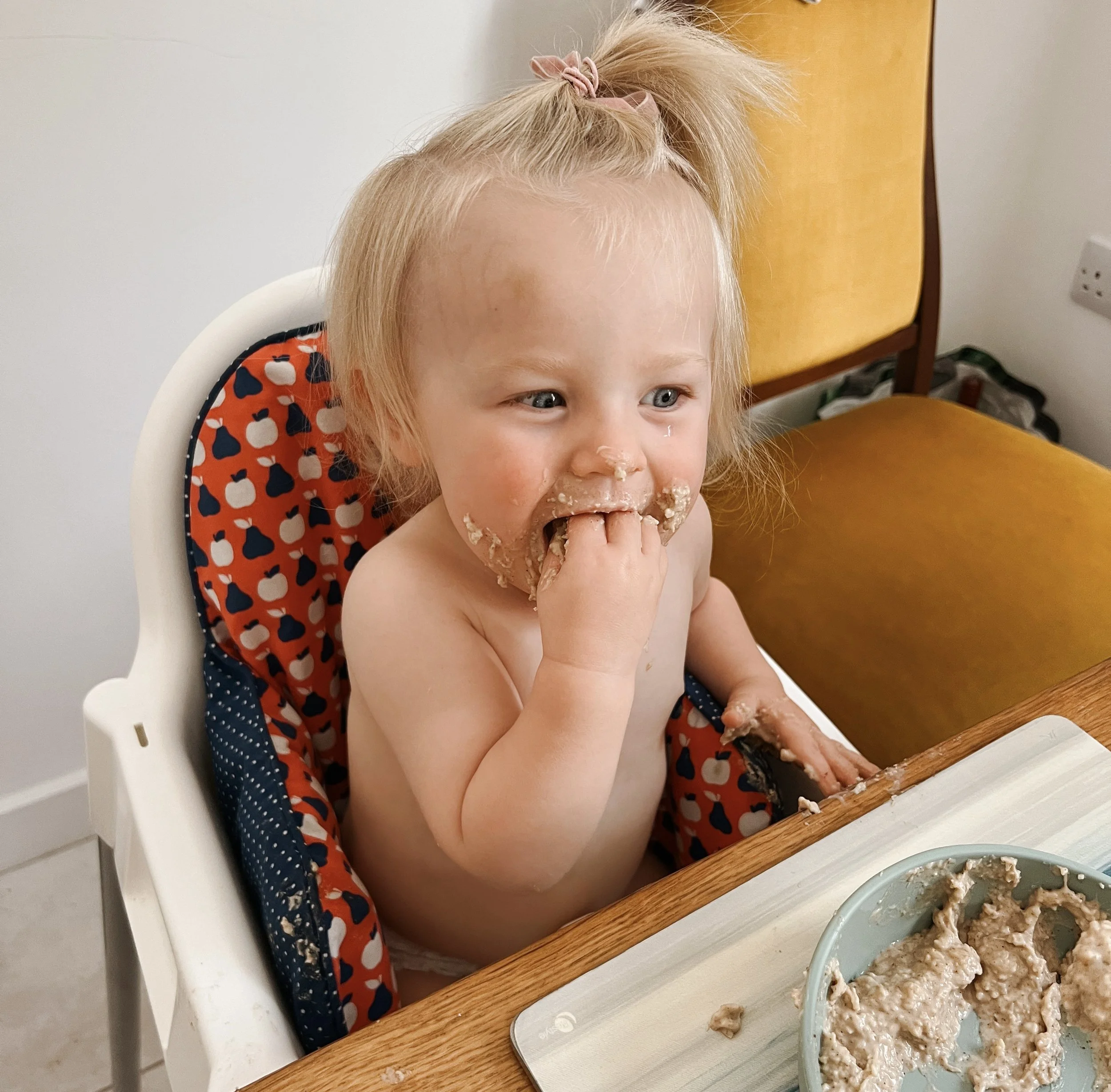 a guide to plant milks in babies and toddlers, plant based milks for babies and toddlers, oat milk for babies, soya milk, pea milk, can toddlers drink oat milk