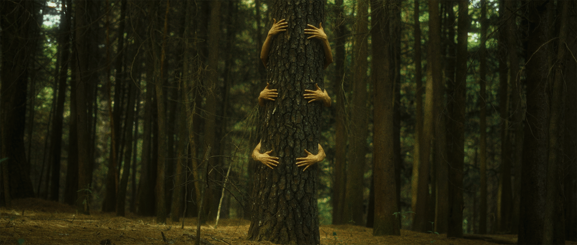 Web_0000_Dream3_04.png