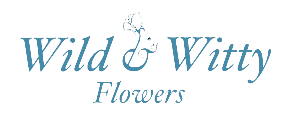 Wild &amp; Witty 