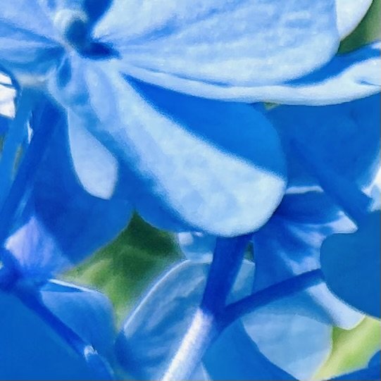 Macroeco - 5