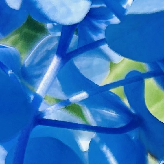 Macroeco - 6