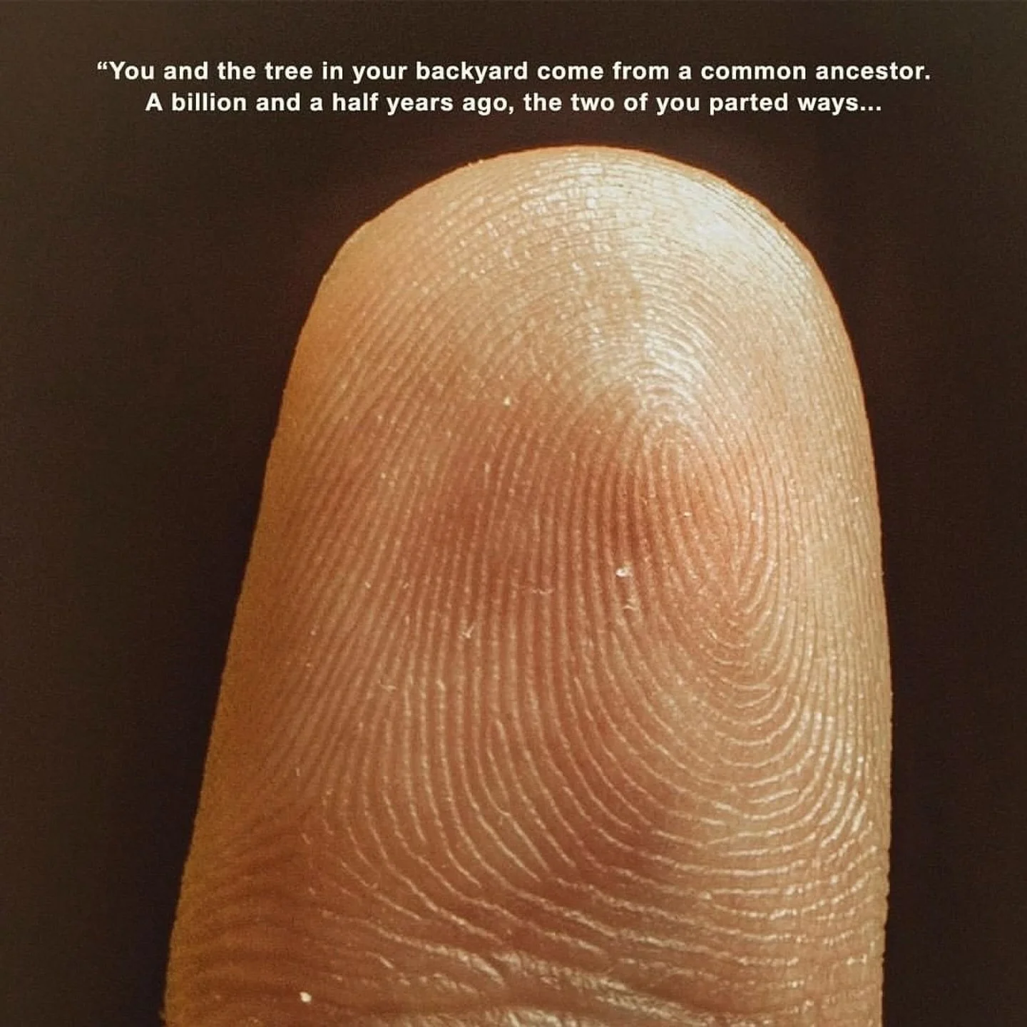 All of Life are my relations. 

We are One. 

Is your being here a blessing? ( if you allow it to flow it is innate within you)

What if you allowed your love to flow back to all life? 
What will your world look like when you choose to live in Devoti