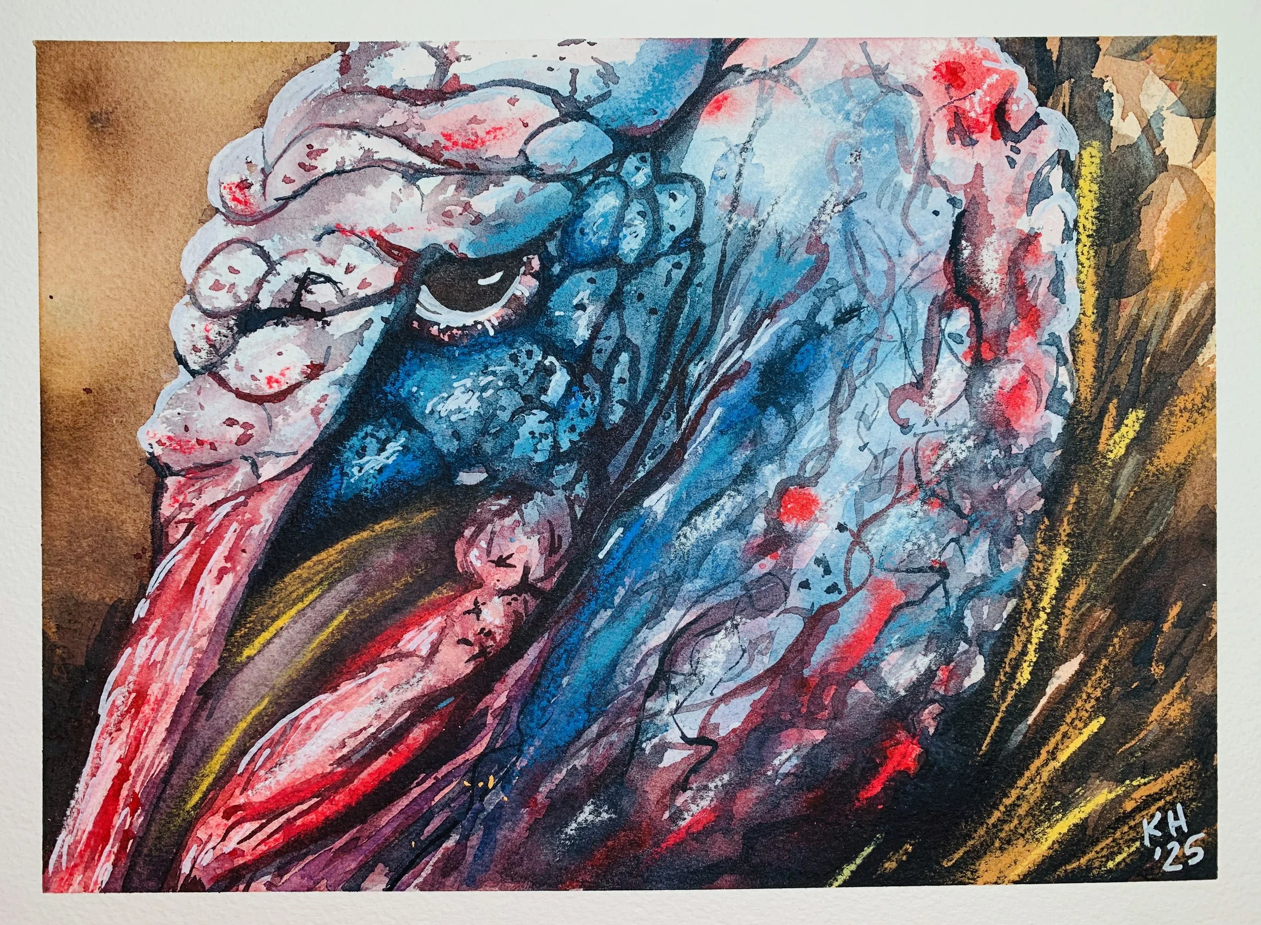 What're You Lookin' At?