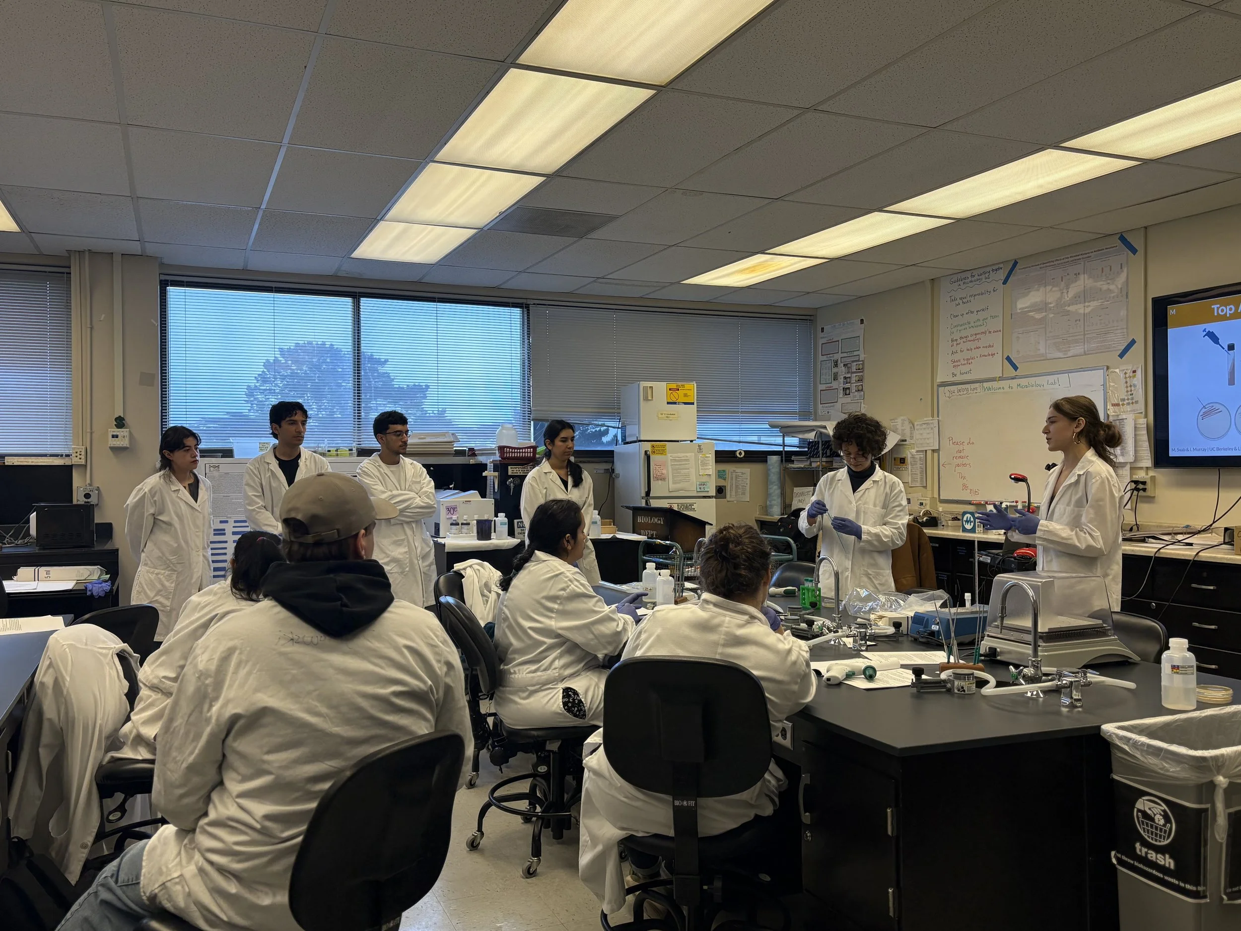 Phage discovery workshop: a week of hands-on learning