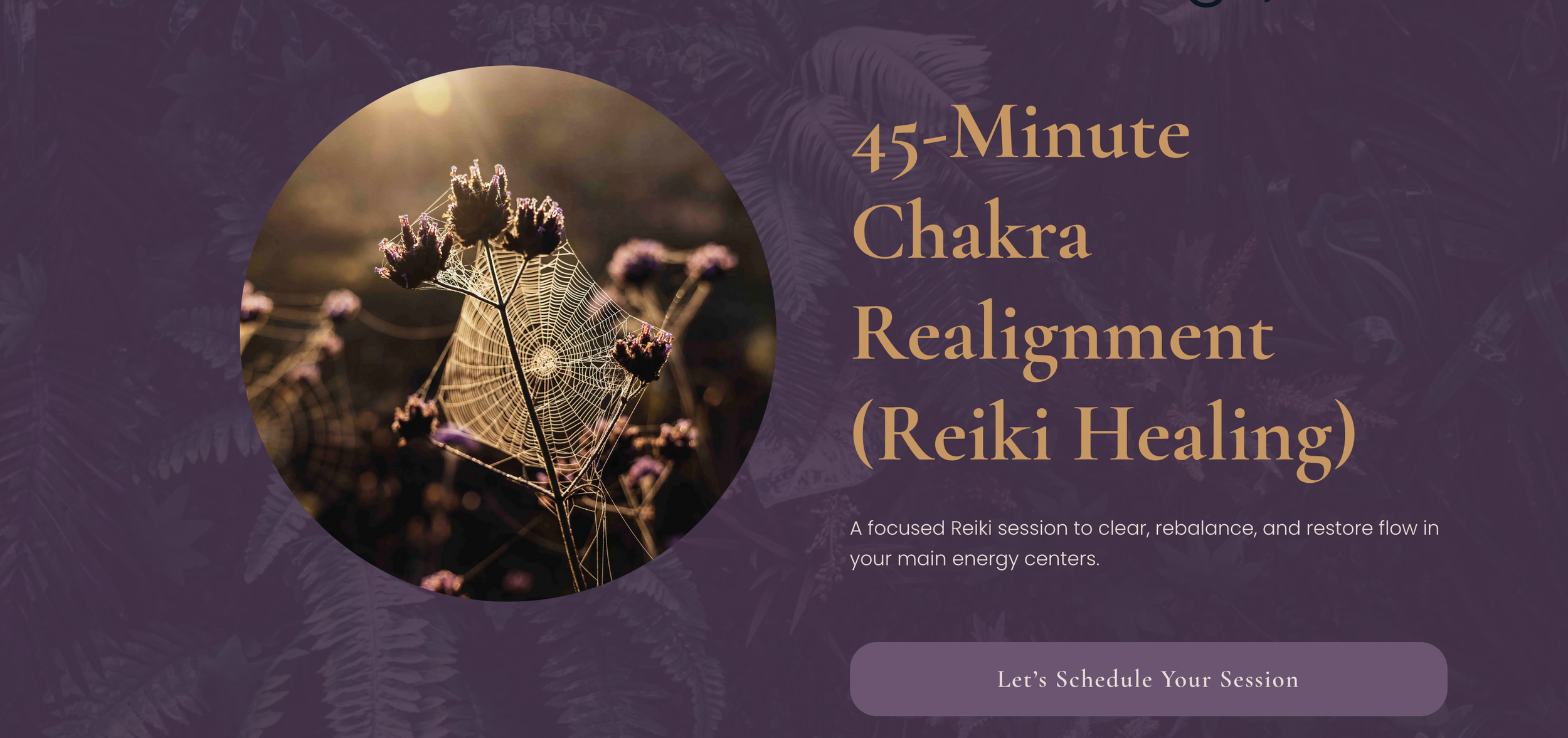 TheVioletSpace_ReikiWebsite_SessionOffer_ChakraHealing.png