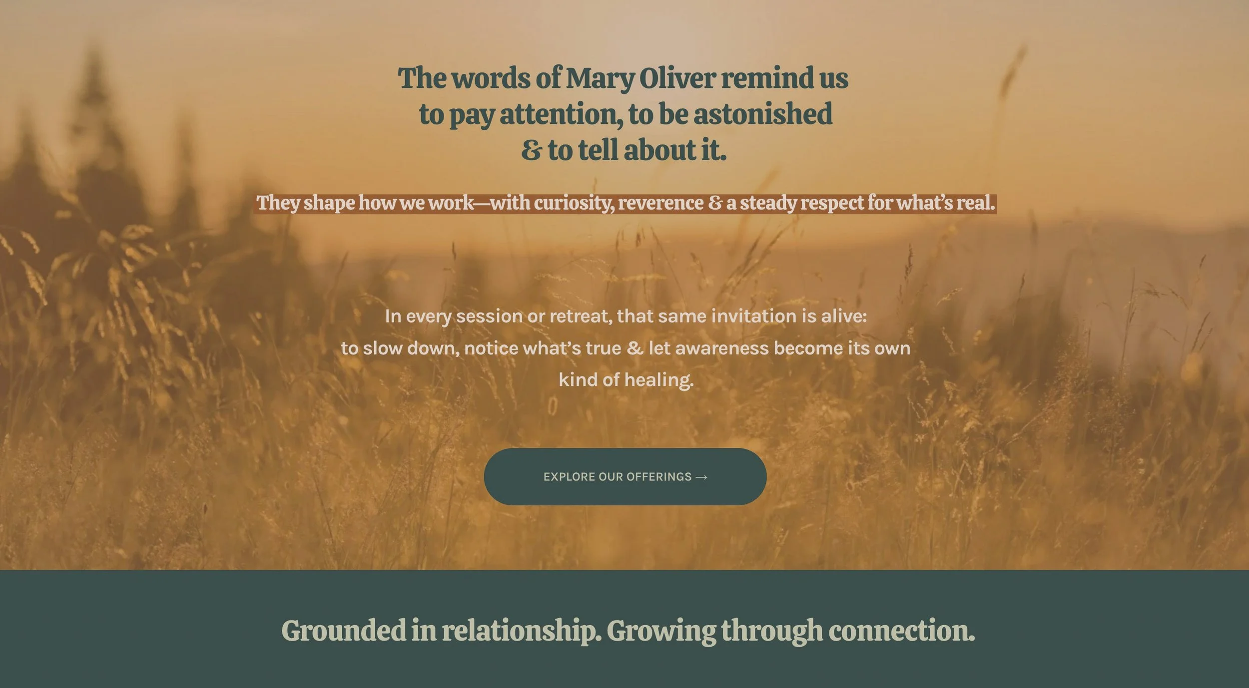 Therapist Website Hero Section _ Emotional Brand Messaging Design.jpg