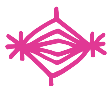 Pink geometric star-like design with overlapping lines