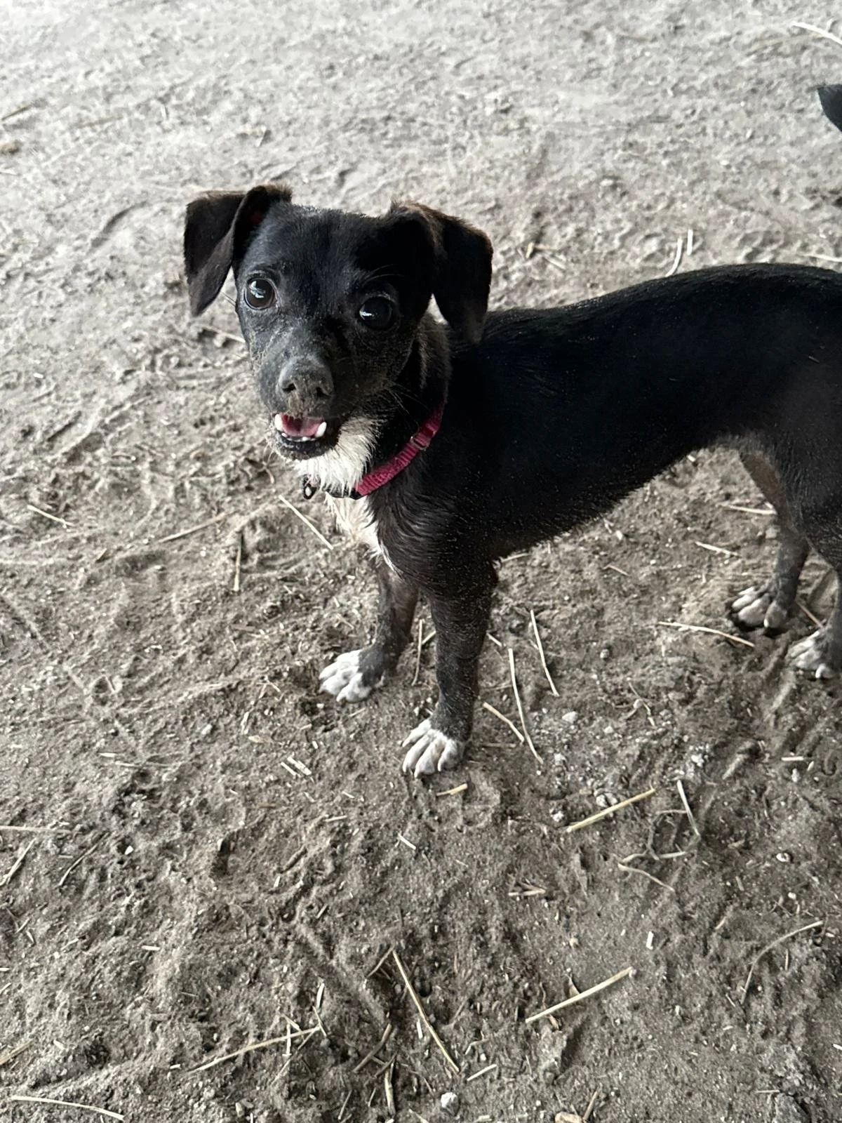 WhatsApp Image 2025-09-05 at 14.51.08.jpeg