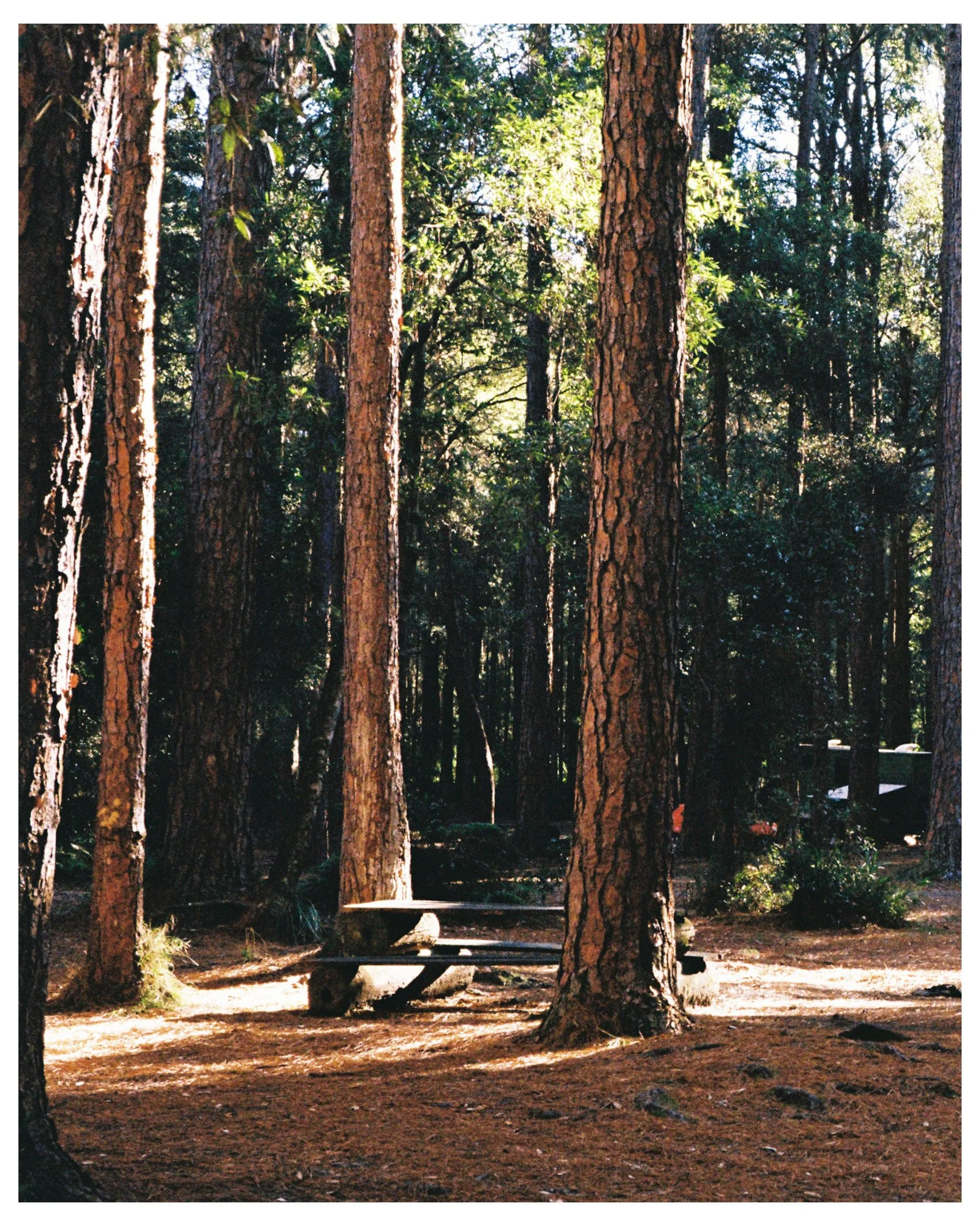 Both Ancient & Modern