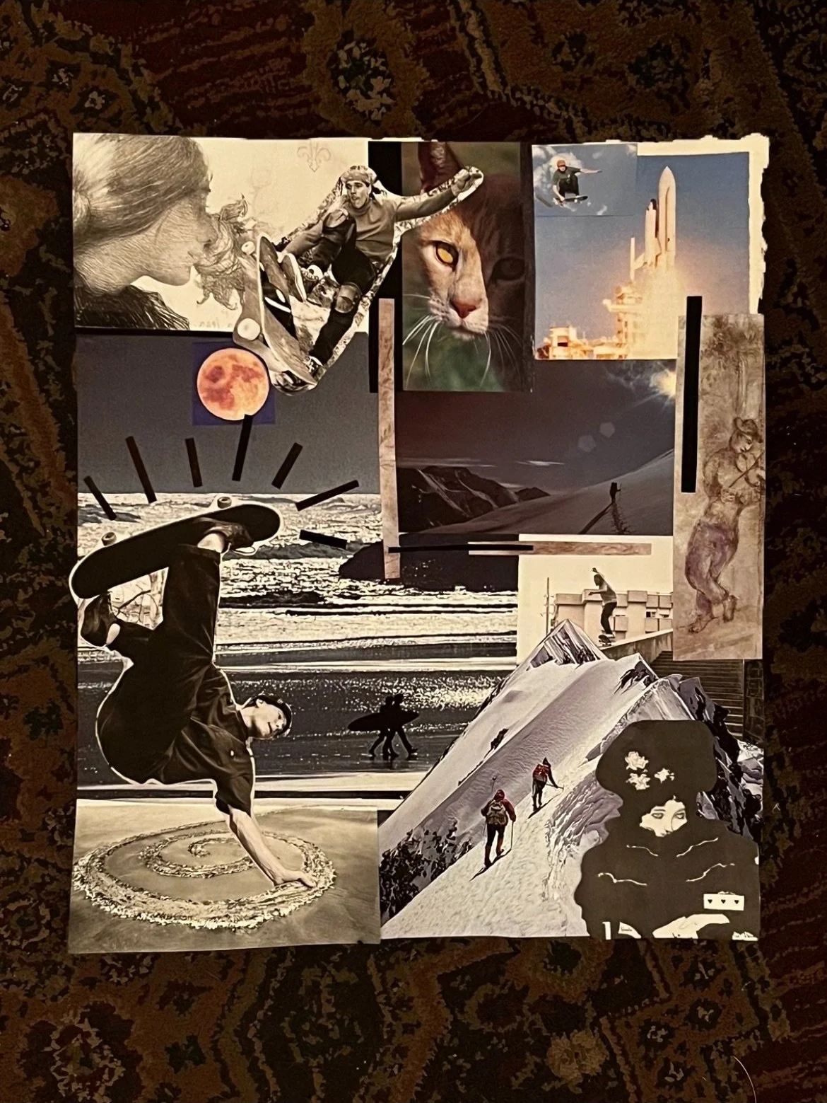 A collage of various images, including a woman with a skateboard, a large cat, astronauts, a rocket, mountains, a person on the beach, and other artistic and scenic photos.