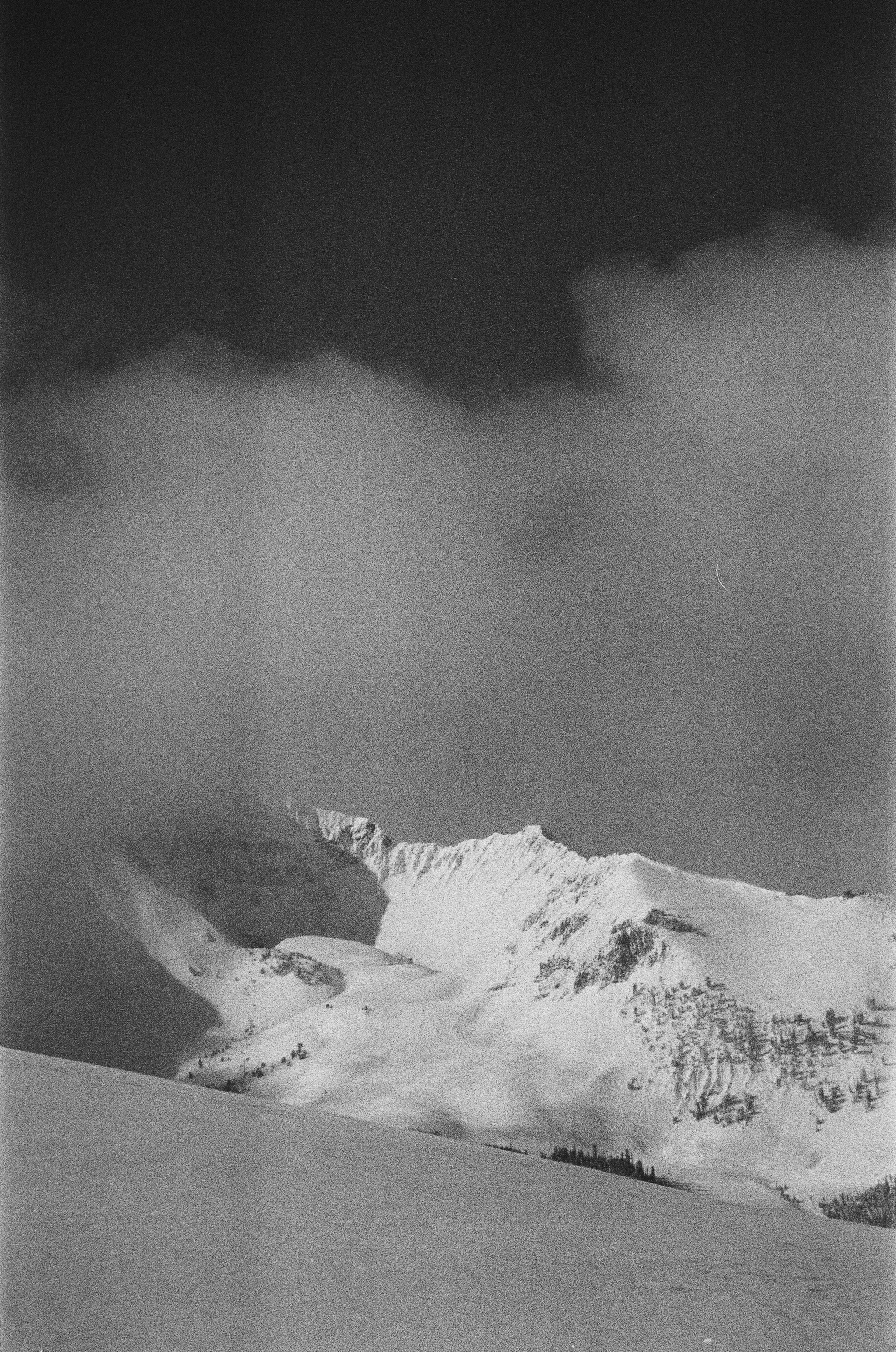 16F2243A-894C-4F6F-B15C-77134E3AA214.jpg