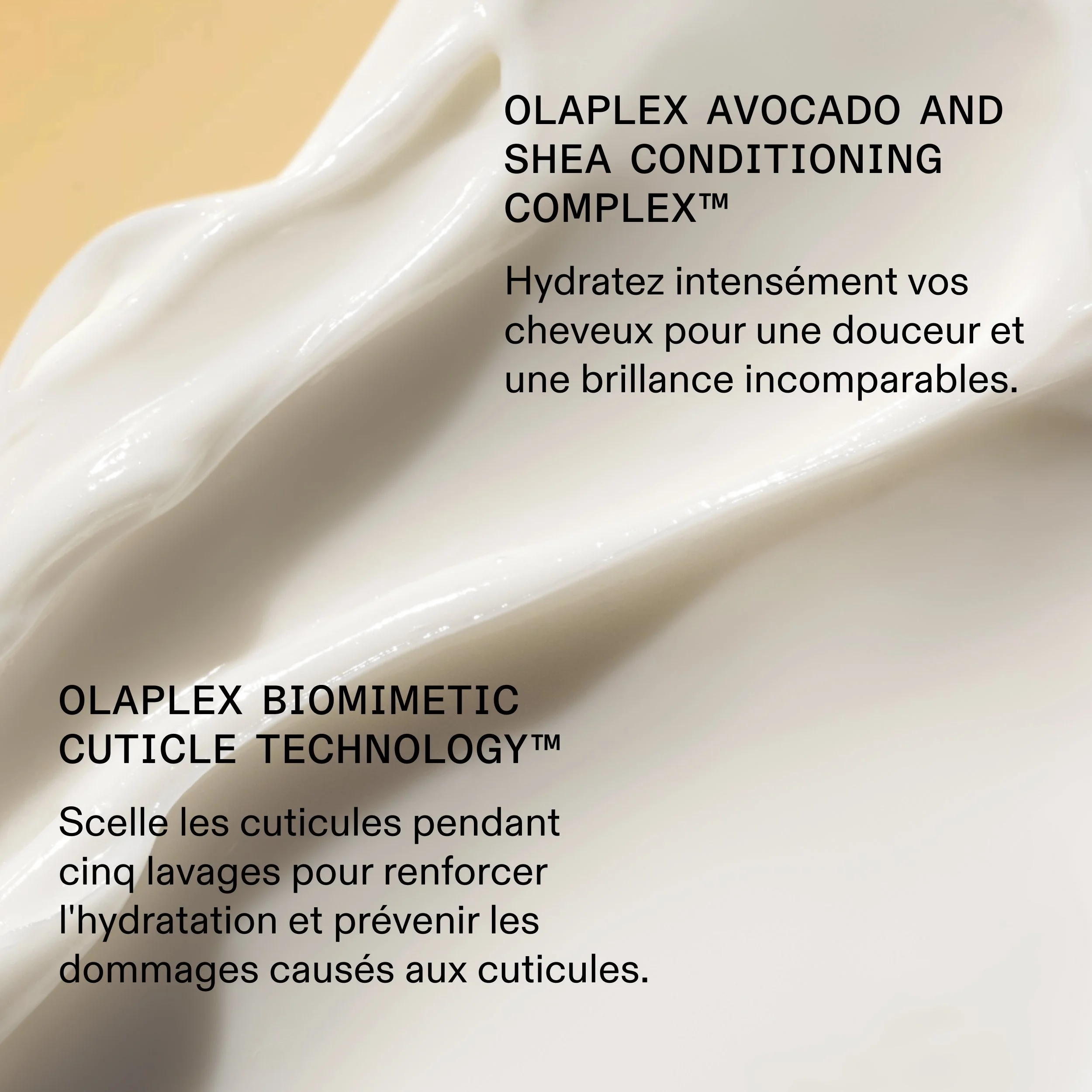 9_RichMask_PDP_Ingredients_FR.jpg